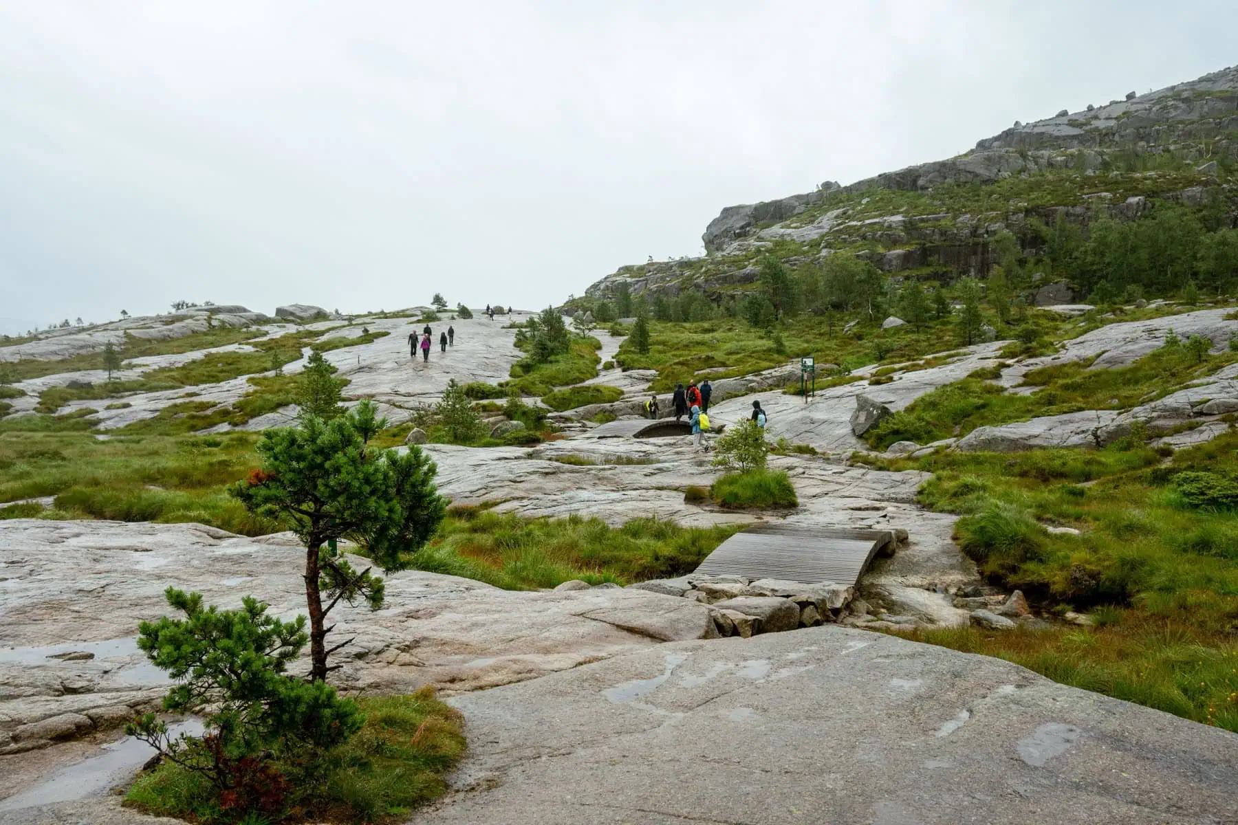 Preikestolen: túra a Szószékre lépésről lépésre 2026-ban 6 Ösvény a Szószékre