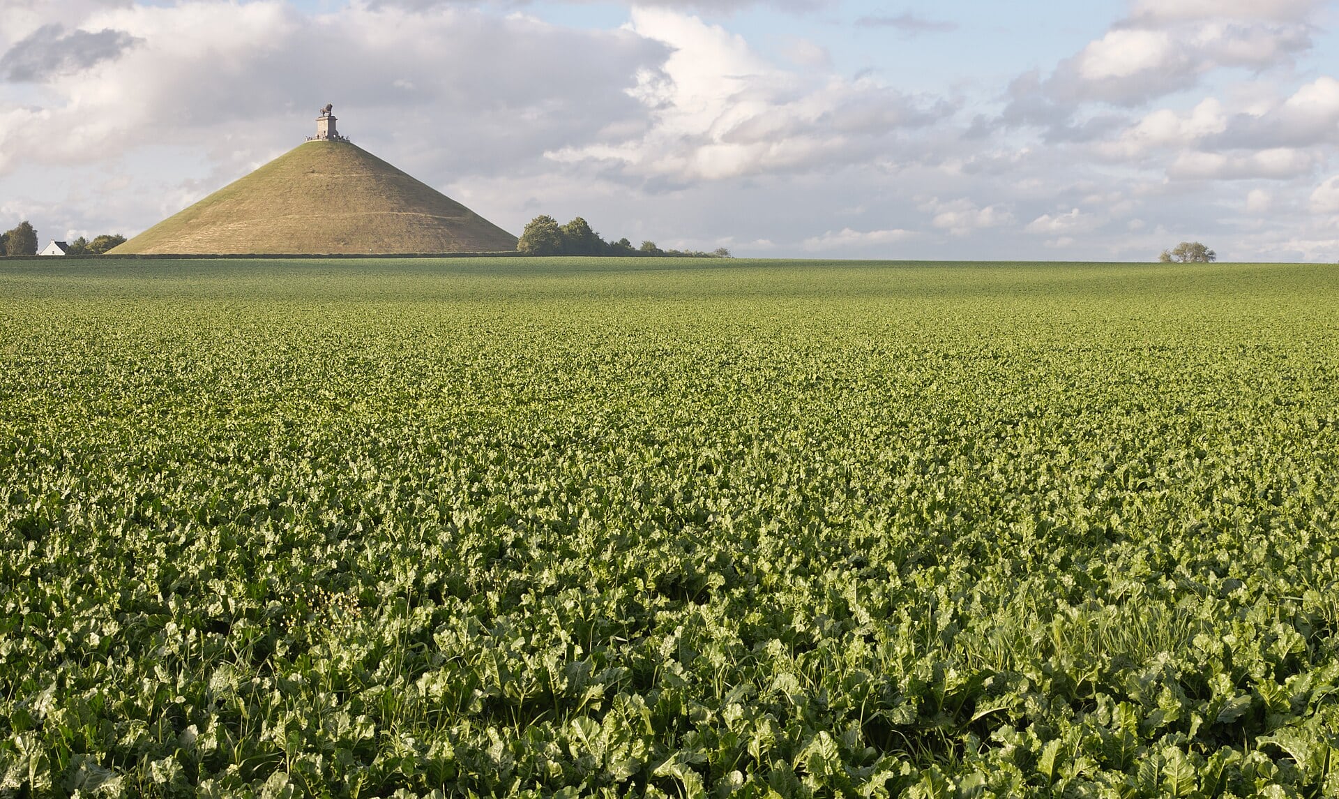 Belgium: 18 Best Things to Do and See in 2026 94 Waterloo: where Napoleon fell