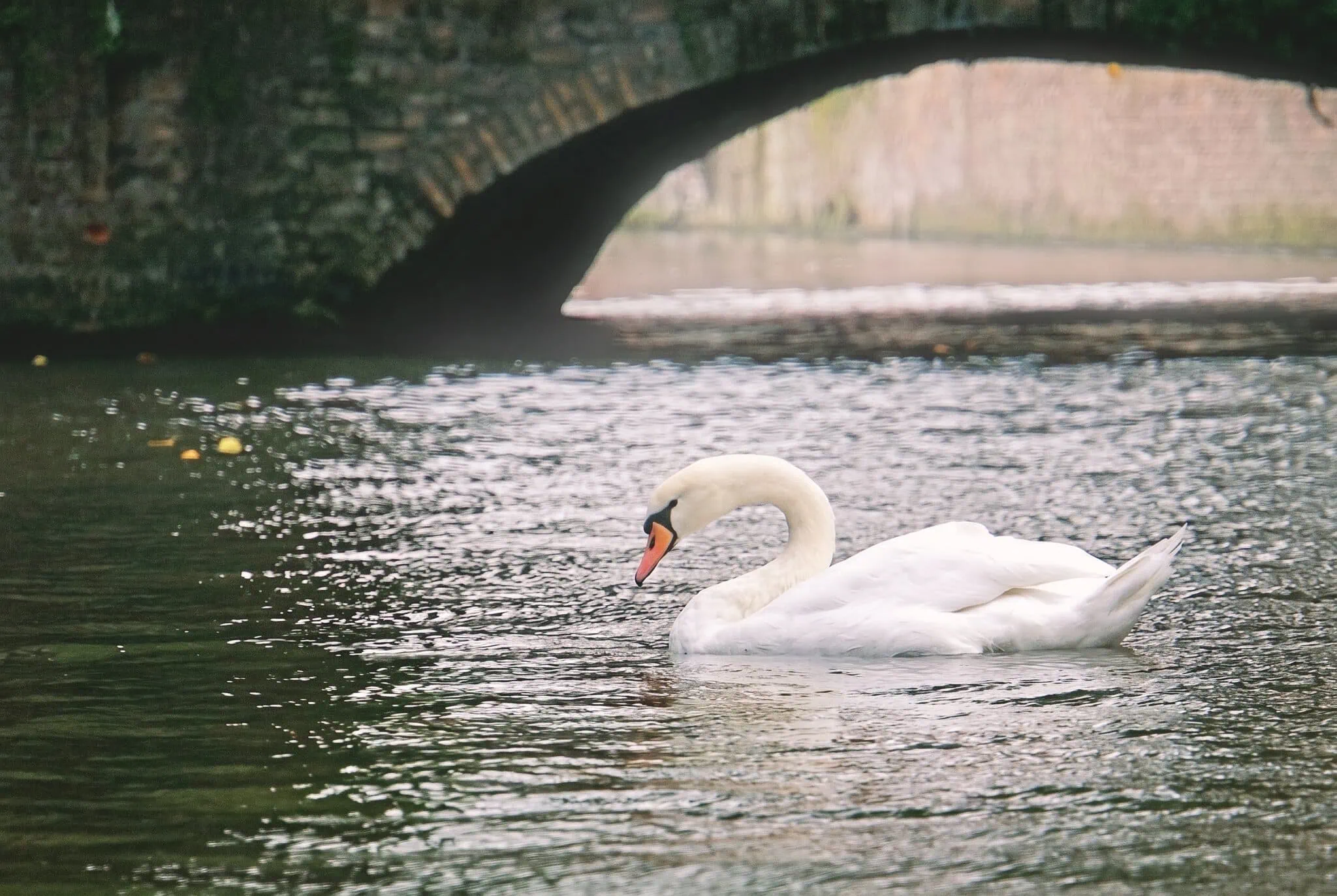 Brugge, Belgium: 16 tipp, mit érdemes látni és csinálni 2026-ban 11 A Szerelem tava és a romantikus Minnewater park