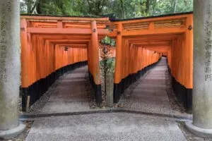 Domovská stránka 6 Dovolená Japonsko: 21 tipů, kam jet a co vidět v roce 2026