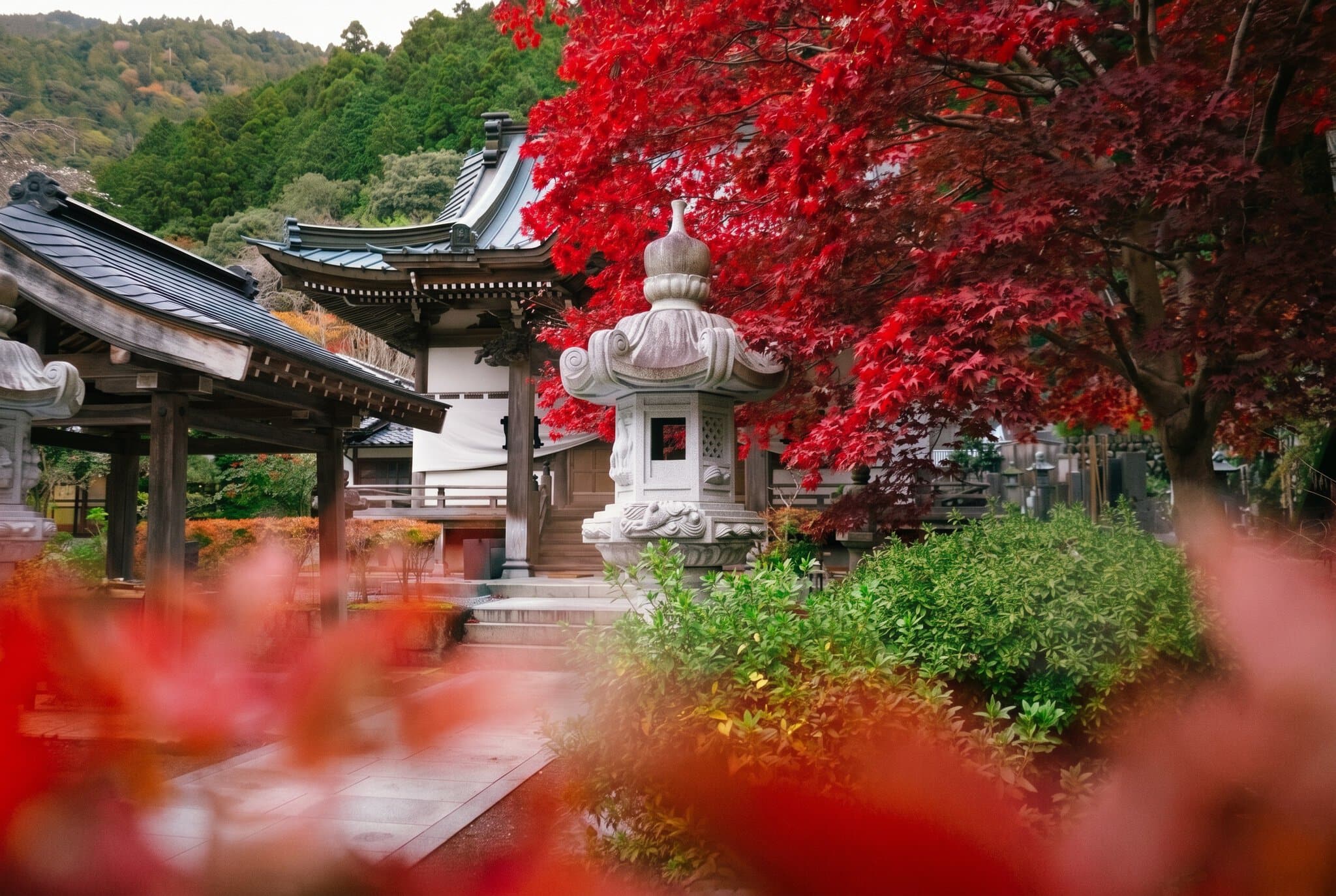 Quand partir au Japon : météo, sakura et érables d'automne 2026 4 Momiji ou quand les érables d'automne se teintent de rouge