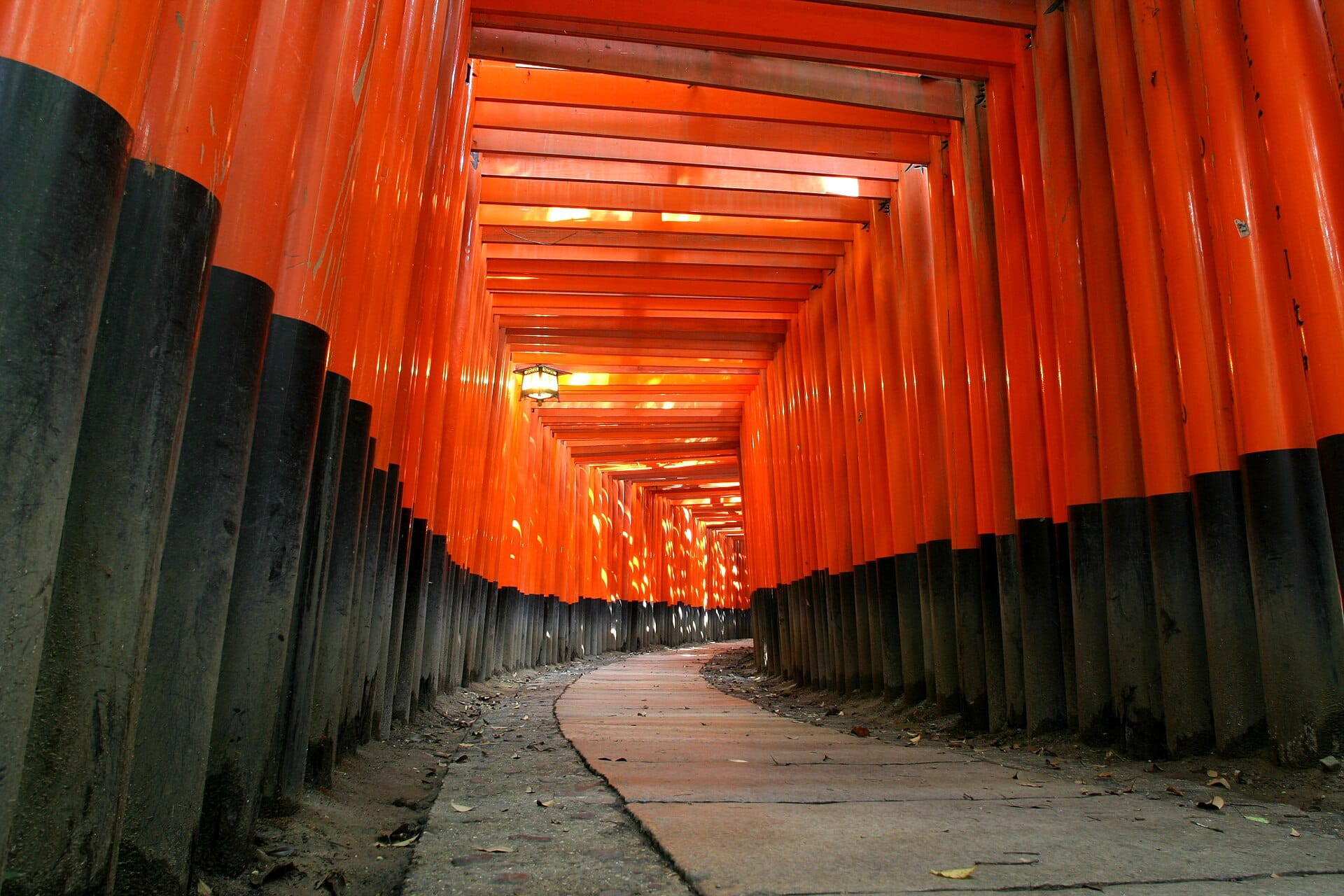 Kyoto, Japan: 18 Things to See and Do in 2026 110 Fushimi Inari Taisha and thousands of red gates in Kyoto, Japan