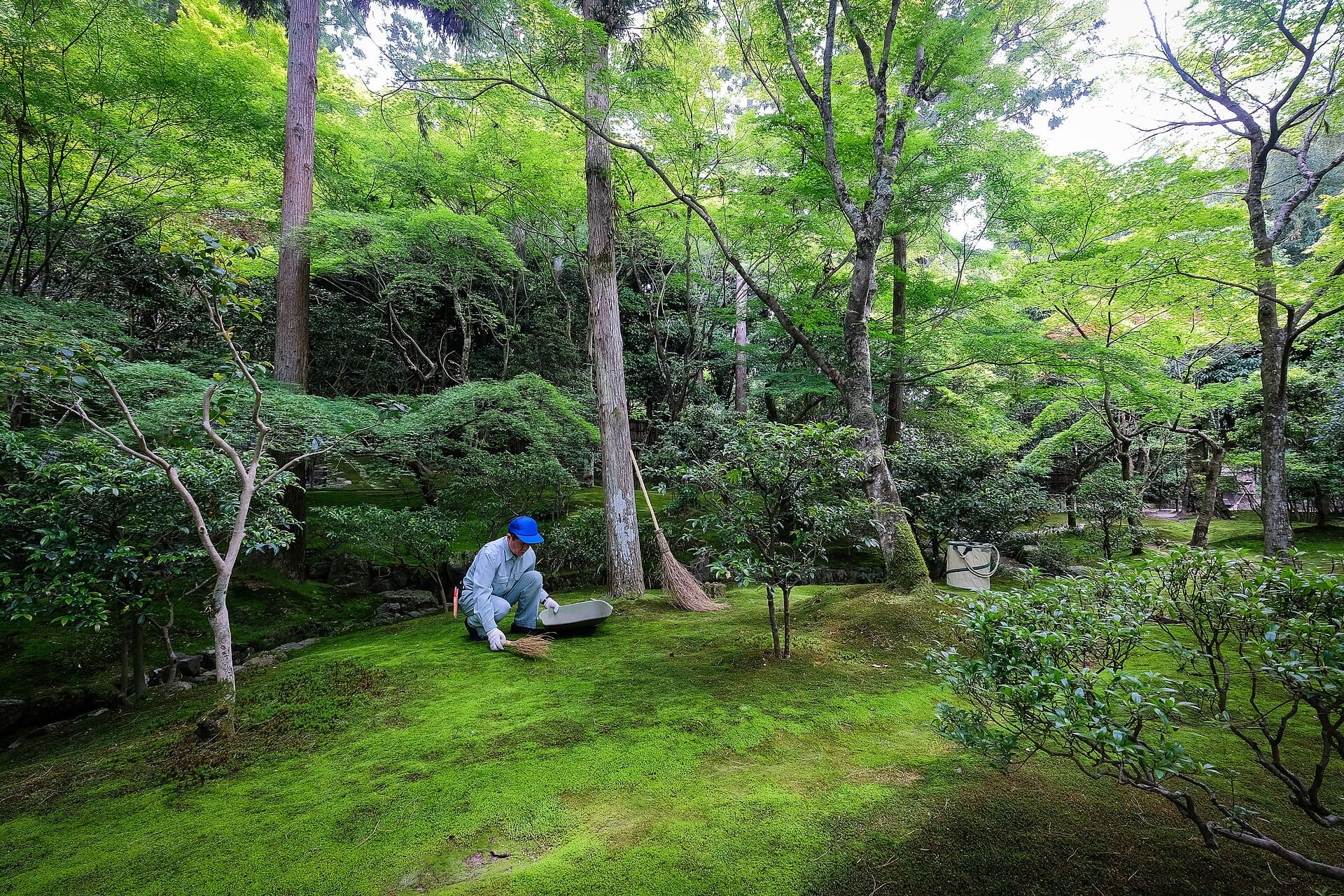 Kyoto, Japan: 18 Things to See and Do in 2026 115 Ginkaku-ji and the romantic Philosopher's Path
