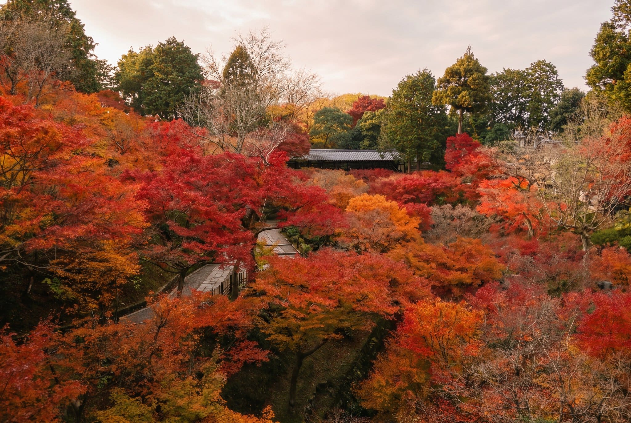 Kyoto, Japan: 18 Things to See and Do in 2026 121 Tofuku-ji and its breathtaking autumn colours