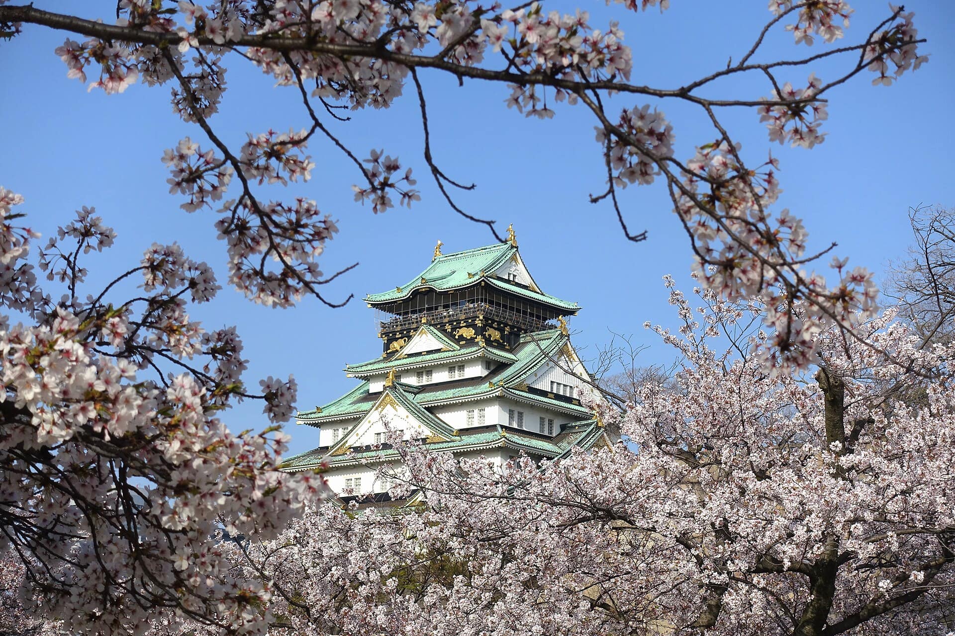 Osaka, Japonia: 14 obiective turistice + excursie la Nara în 2026 1 Rezumat pentru cei care nu au timp să citească tot articolul