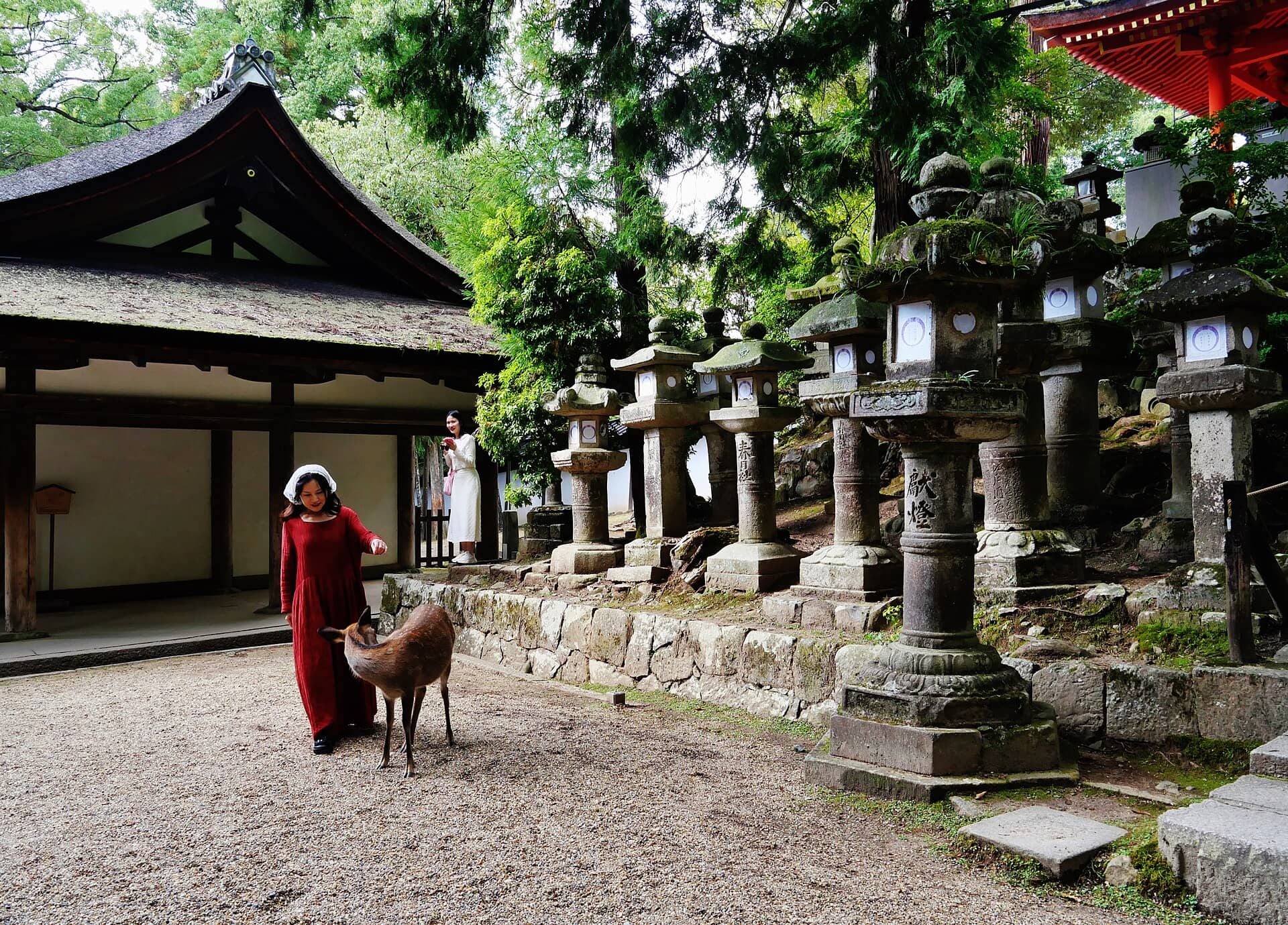 Osaka, Japonia: 14 obiective turistice + excursie la Nara în 2026 19 Sanctuarul Kasuga Taisha și miile de lampioane