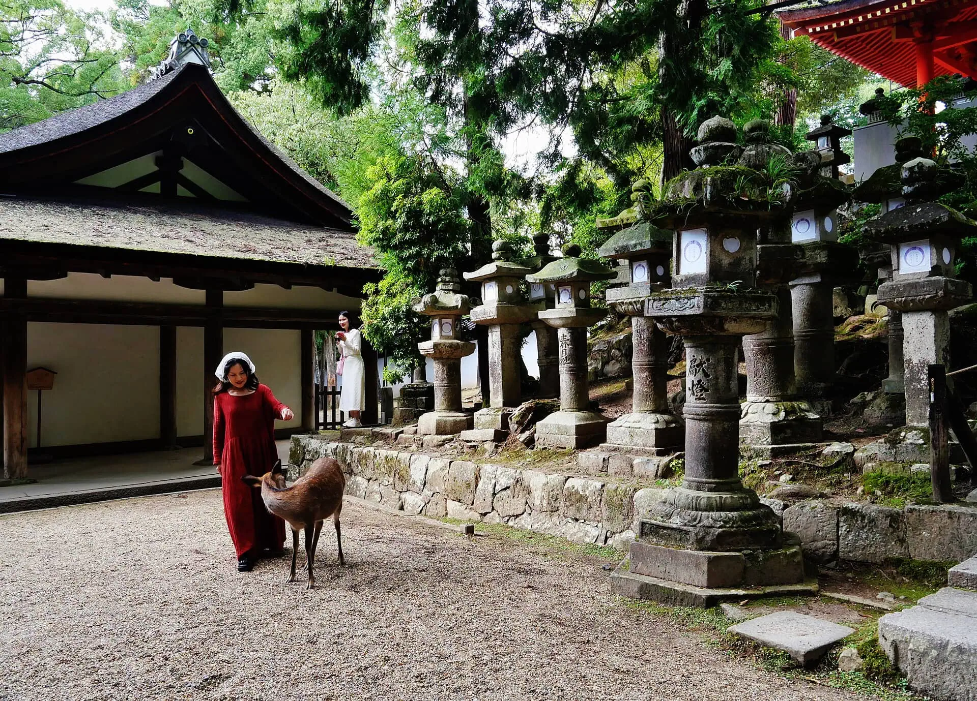 Osaka in Japan: 14 Sehenswürdigkeiten + Ausflug nach Nara 2026 19 Der Schrein Kasuga Taisha und tausende Laternen