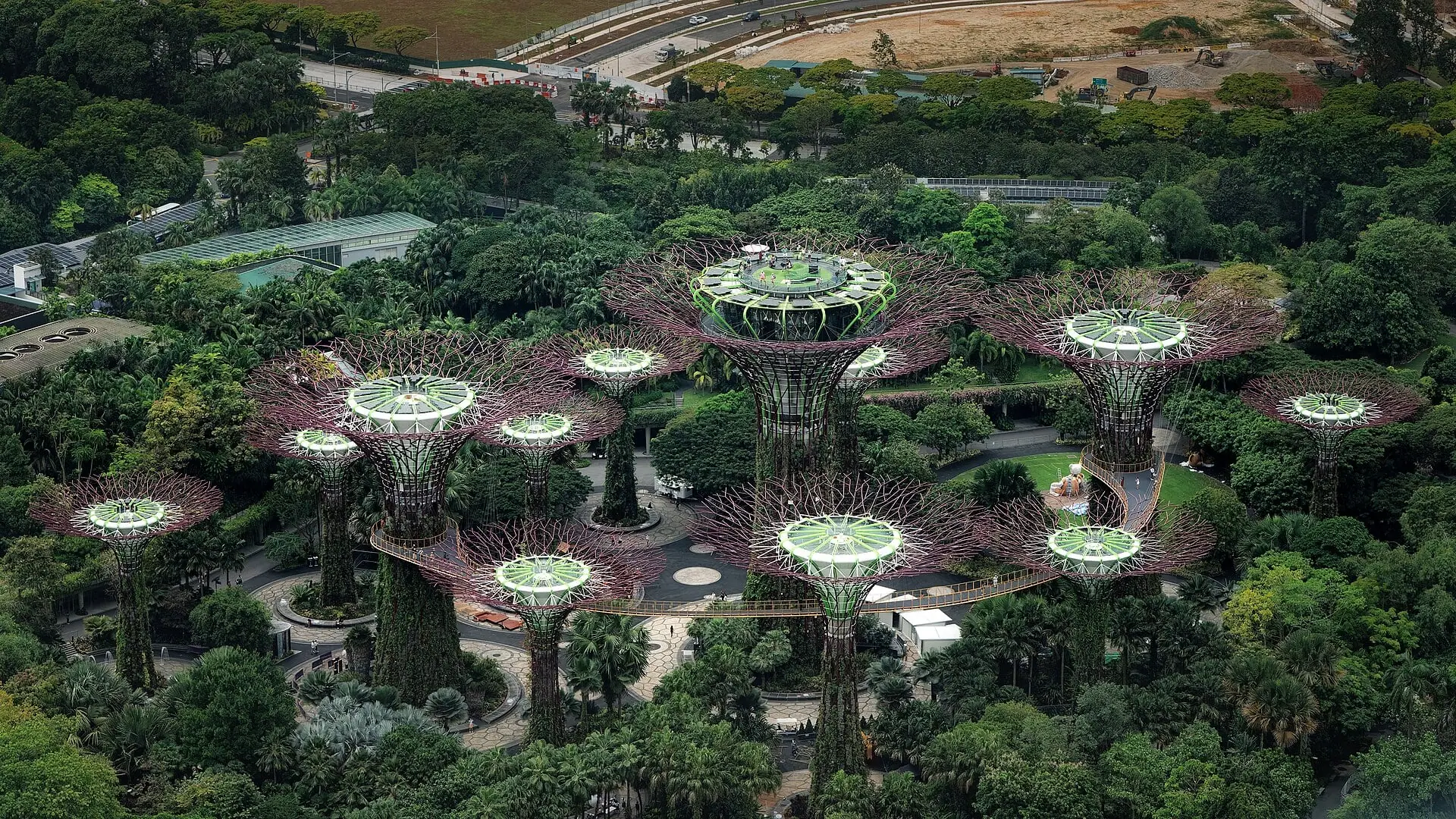 Singapore Holiday: 21 Best Things to See and Do in 2026 7 Supertrees at Gardens by the Bay