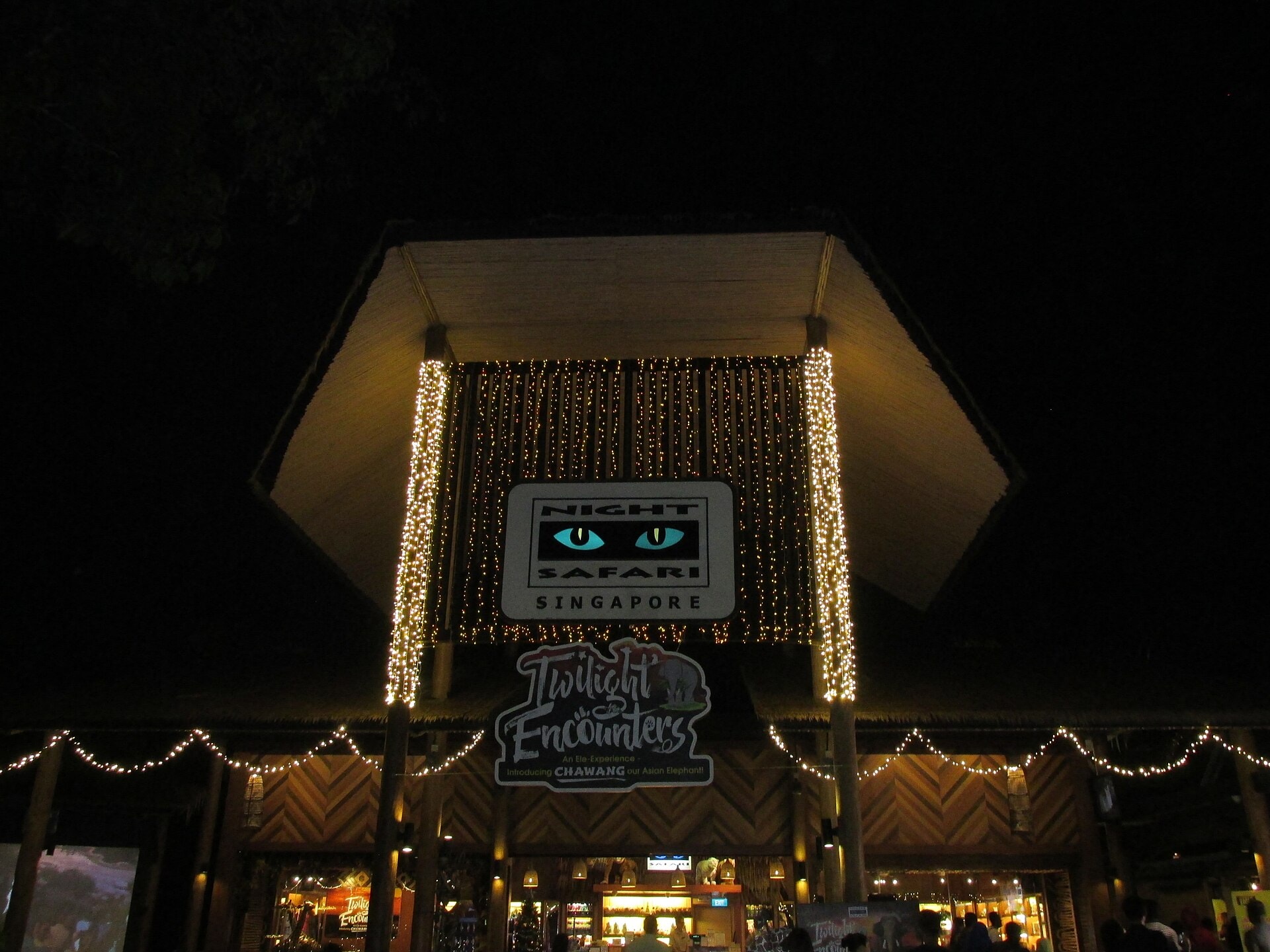 Singapore Holiday: 21 Best Things to See and Do in 2026 62 Night Safari, the world's first nocturnal zoo