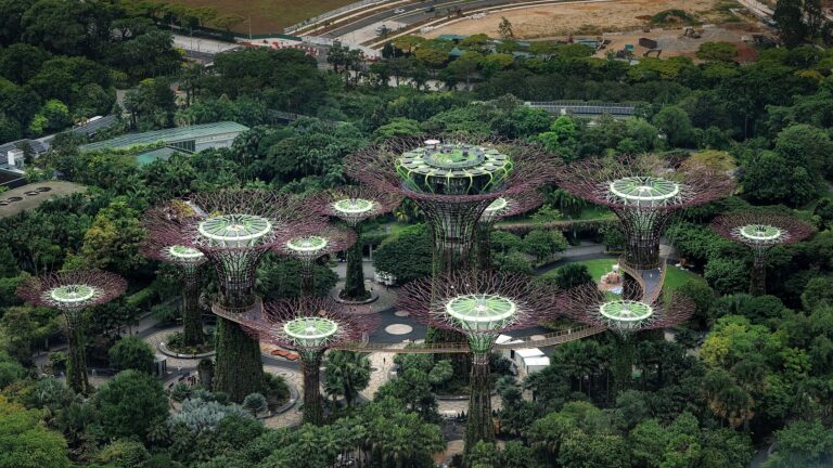Supertrees v Gardens by the Bay