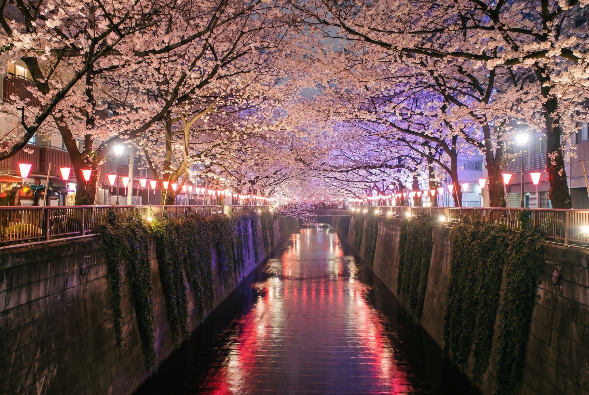 Tokio, Japonia: 25 de lucruri de văzut și făcut în 2026 2 Când să mergi în Tokio