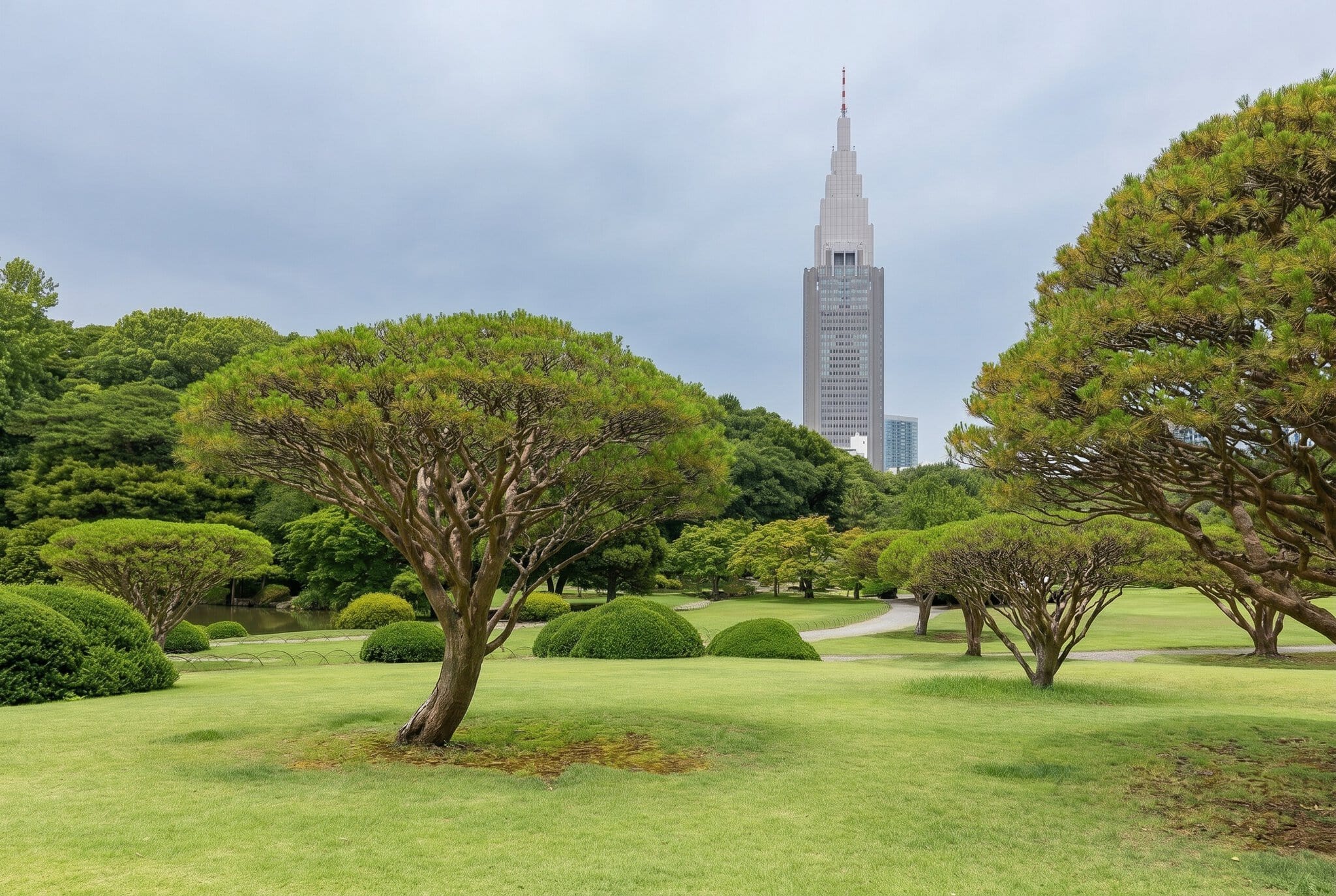 Tokio, Japonia: 25 de lucruri de văzut și făcut în 2026 12 Parcul Shinjuku Gyoen