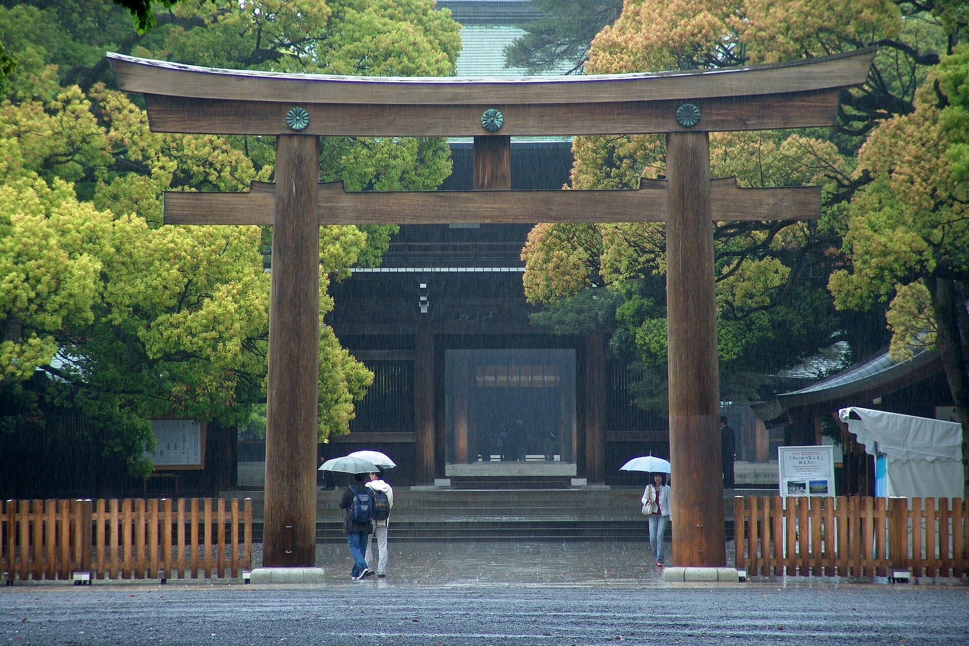 Tokio, Japonia: 25 de lucruri de văzut și făcut în 2026 21 Sanctuarul Meiji Jingu