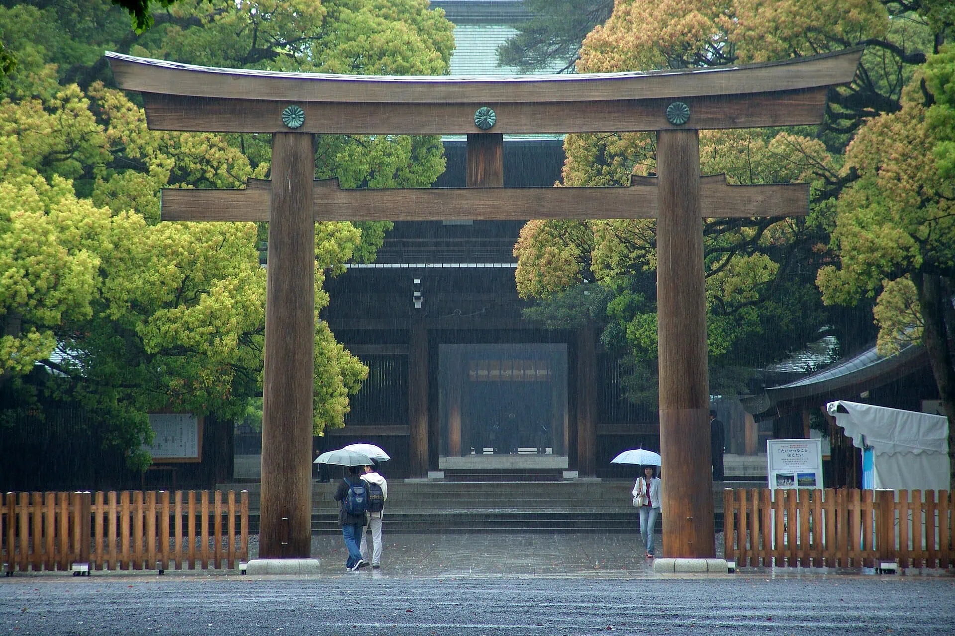 Tokyo, Giappone: 25 cose da vedere e fare nel 2026 21 Santuario Meiji Jingu