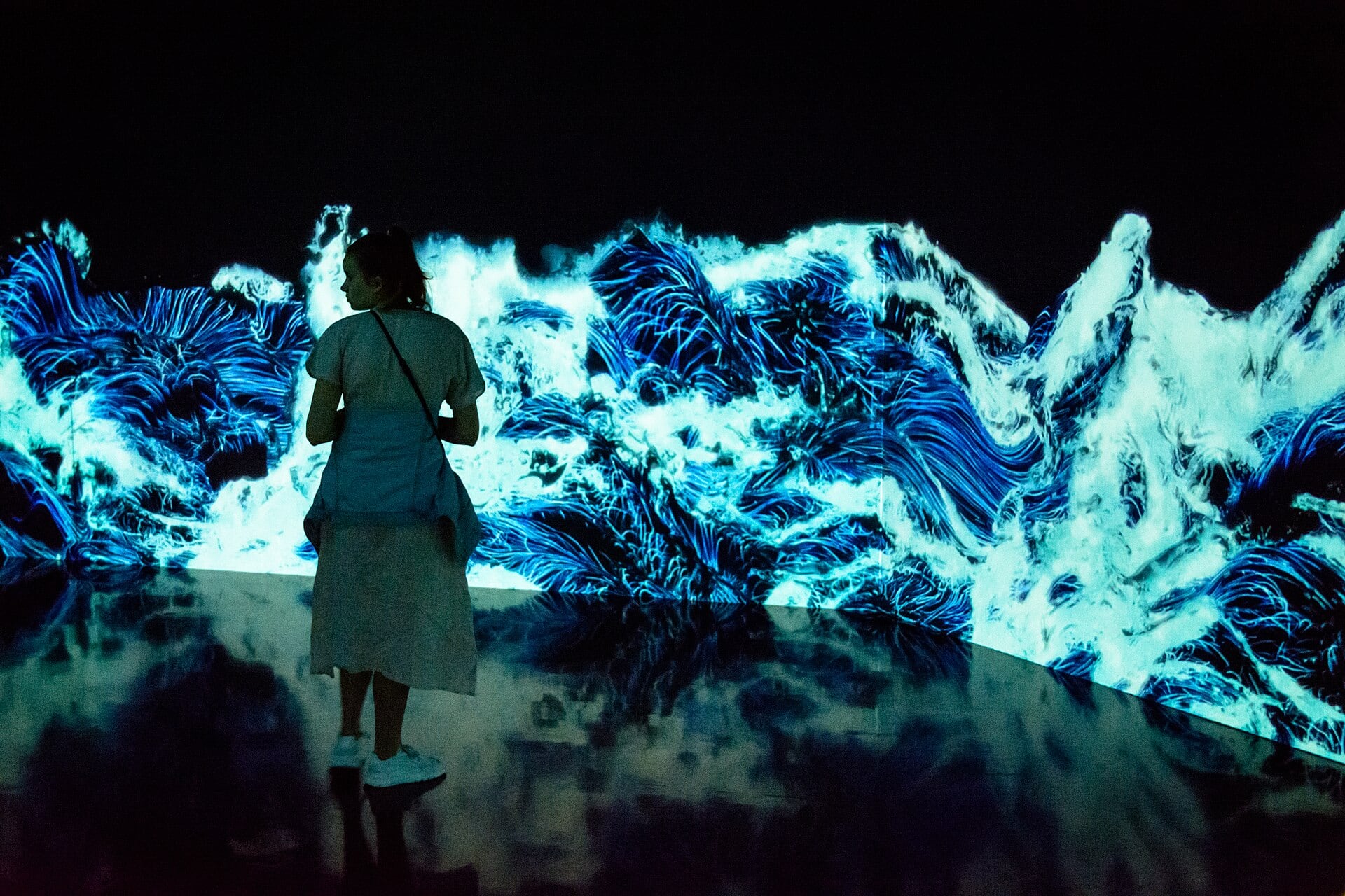 Tokio, Japonia: 25 de lucruri de văzut și făcut în 2026 24 Arta digitală teamLab