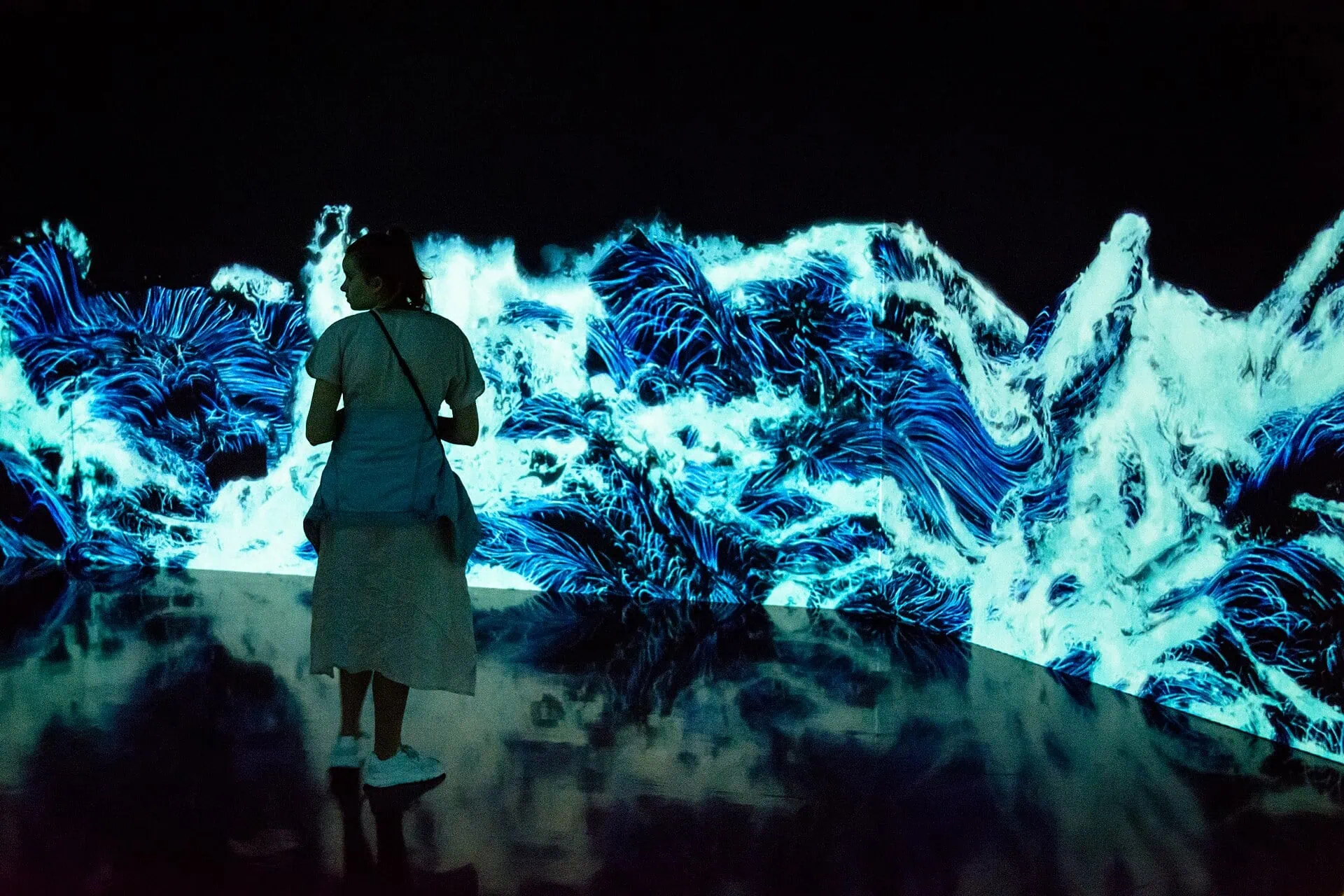 Tokyo, Giappone: 25 cose da vedere e fare nel 2026 24 Arte digitale teamLab