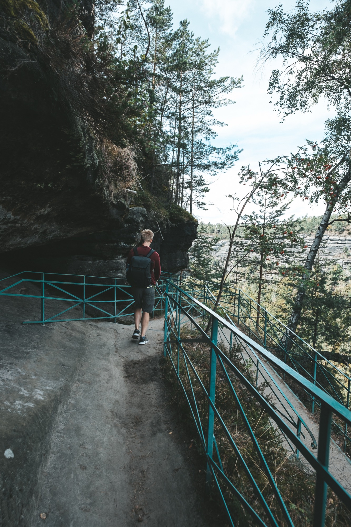 Pravčická brána: 6 consigli su cosa vedere e sapere prima della visita 2026 7 Sentiero forestale nel Parco Nazionale della Svizzera Boema verso la Pravčická brána