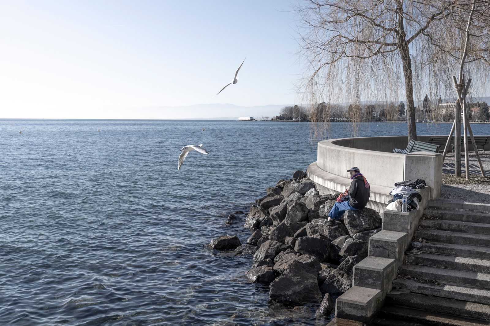 Ginebra (Suiza): 16 cosas que ver y hacer junto al mayor lago alpino en 2026 12 Paseo por el lago y los barquitos amarillos Mouettes