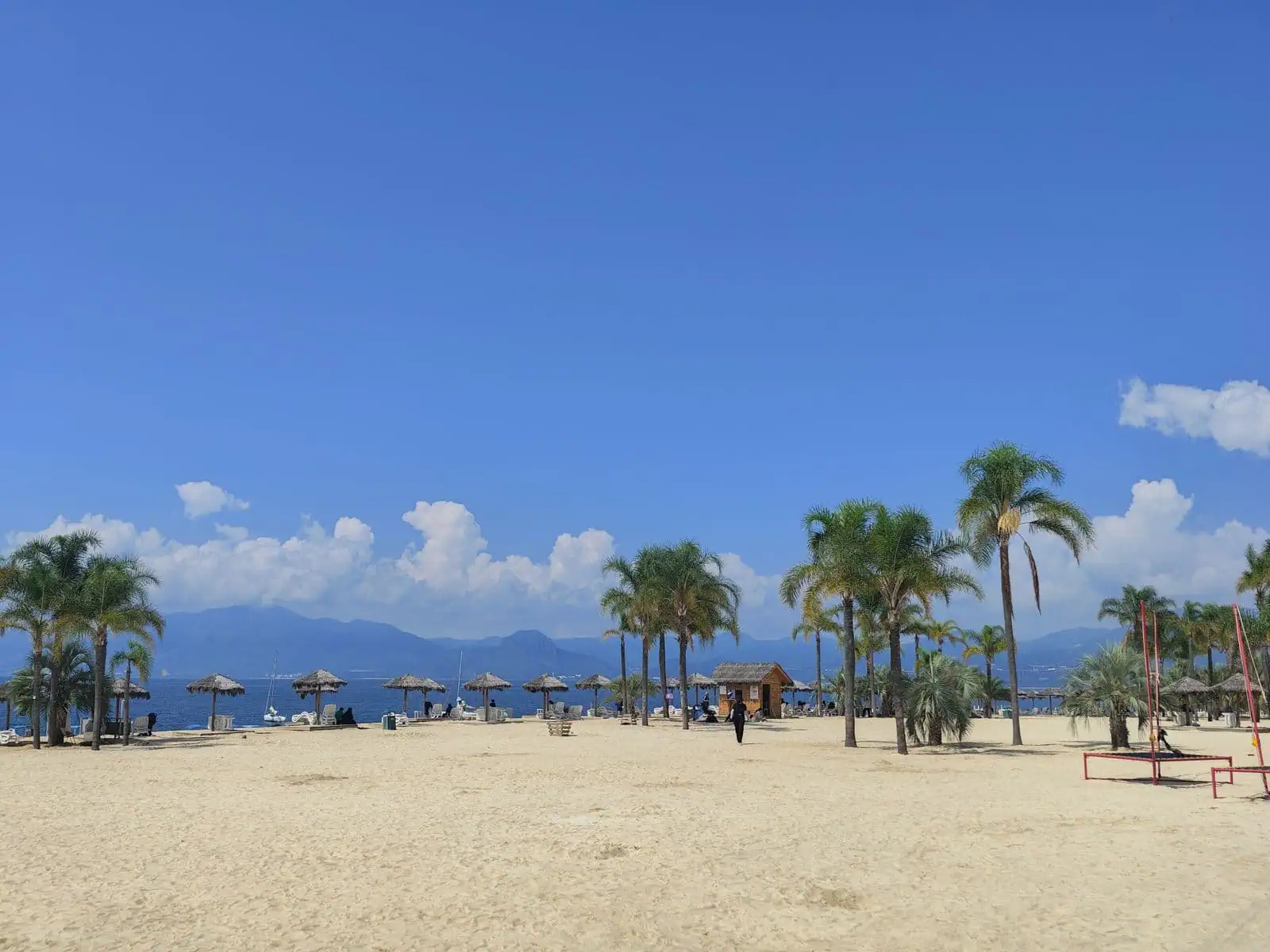 Puerto Vallarta, Mexico: 15 Things to See & Do + Sayulita 4 Playa de los Muertos with palm trees