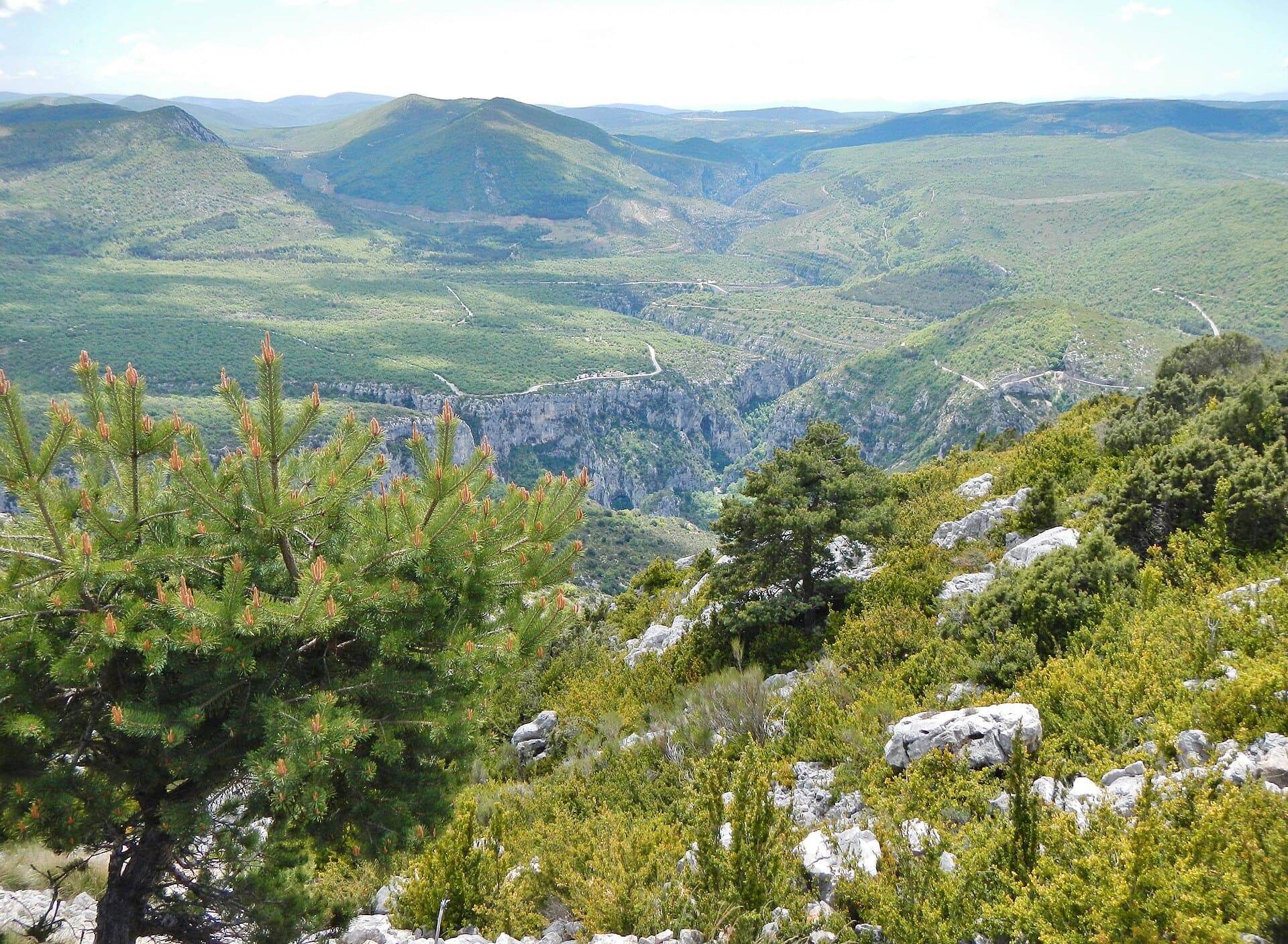 Canionul Verdon, Franța: 12 sfaturi + cum să-l vizitezi în 2026 9 Pont de l'Artuby și proba de curaj