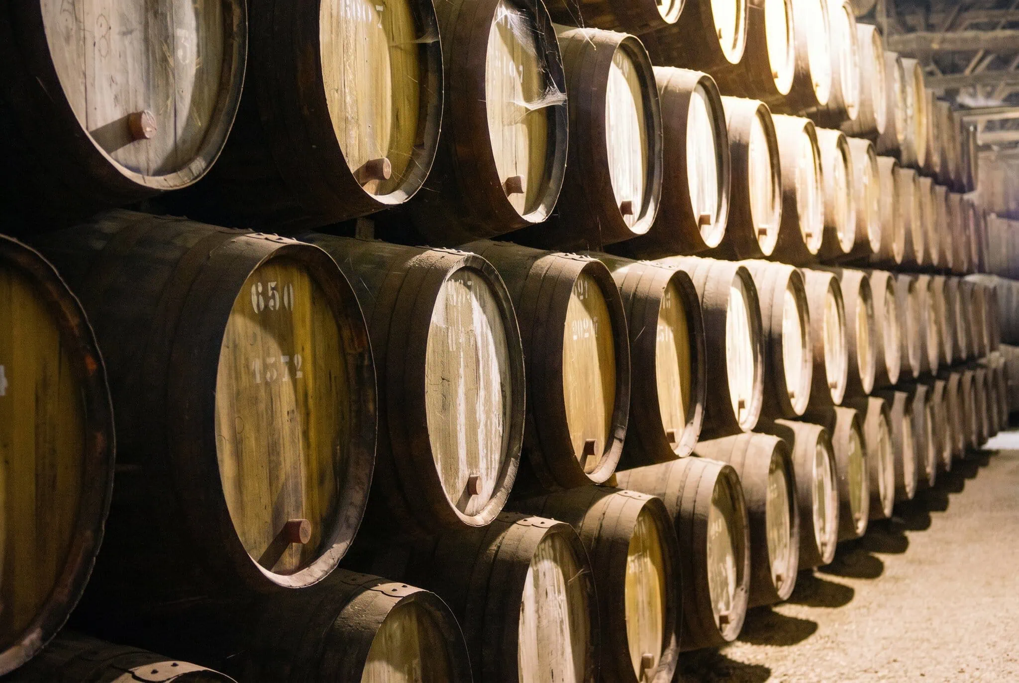 Botti di rovere con vino Porto in cantina
