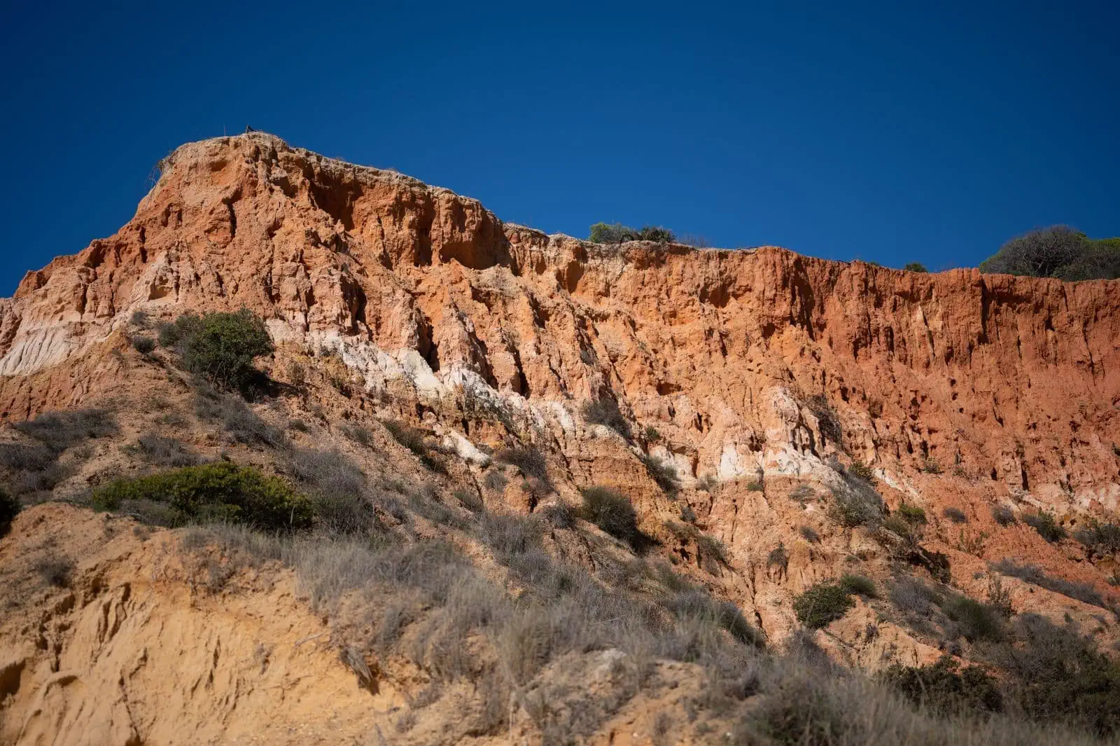 Praia da Rocha: az Algarve legszélesebb strandja (látnivalók, hotelek, hajókirándulások) 6 Sétálj végig az ikonikus fából készült sétányon