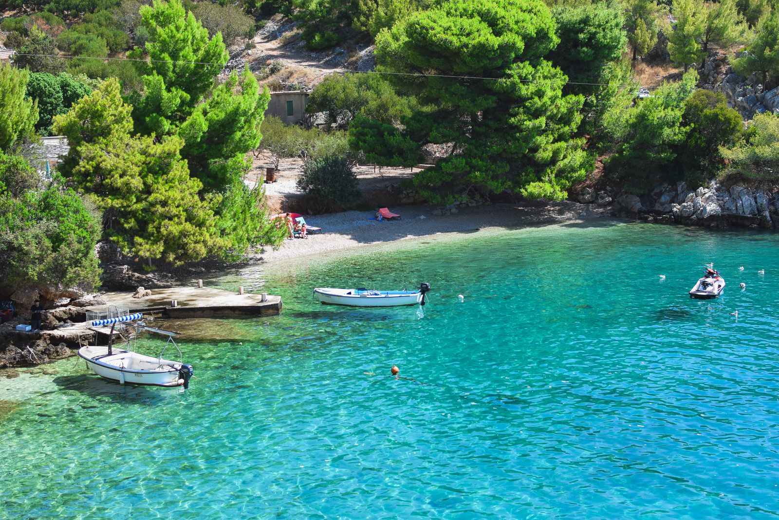 Rab Island, Croatia: 11 Best Things to See and Do in 2026 14 Wild nature of the Kalifront peninsula