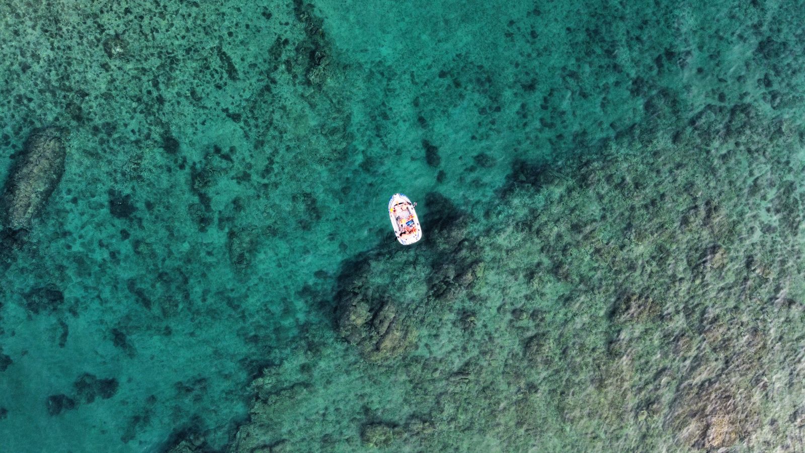 Rab Island, Croatia: 11 Best Things to See and Do in 2026 16 Boat trips around Rab