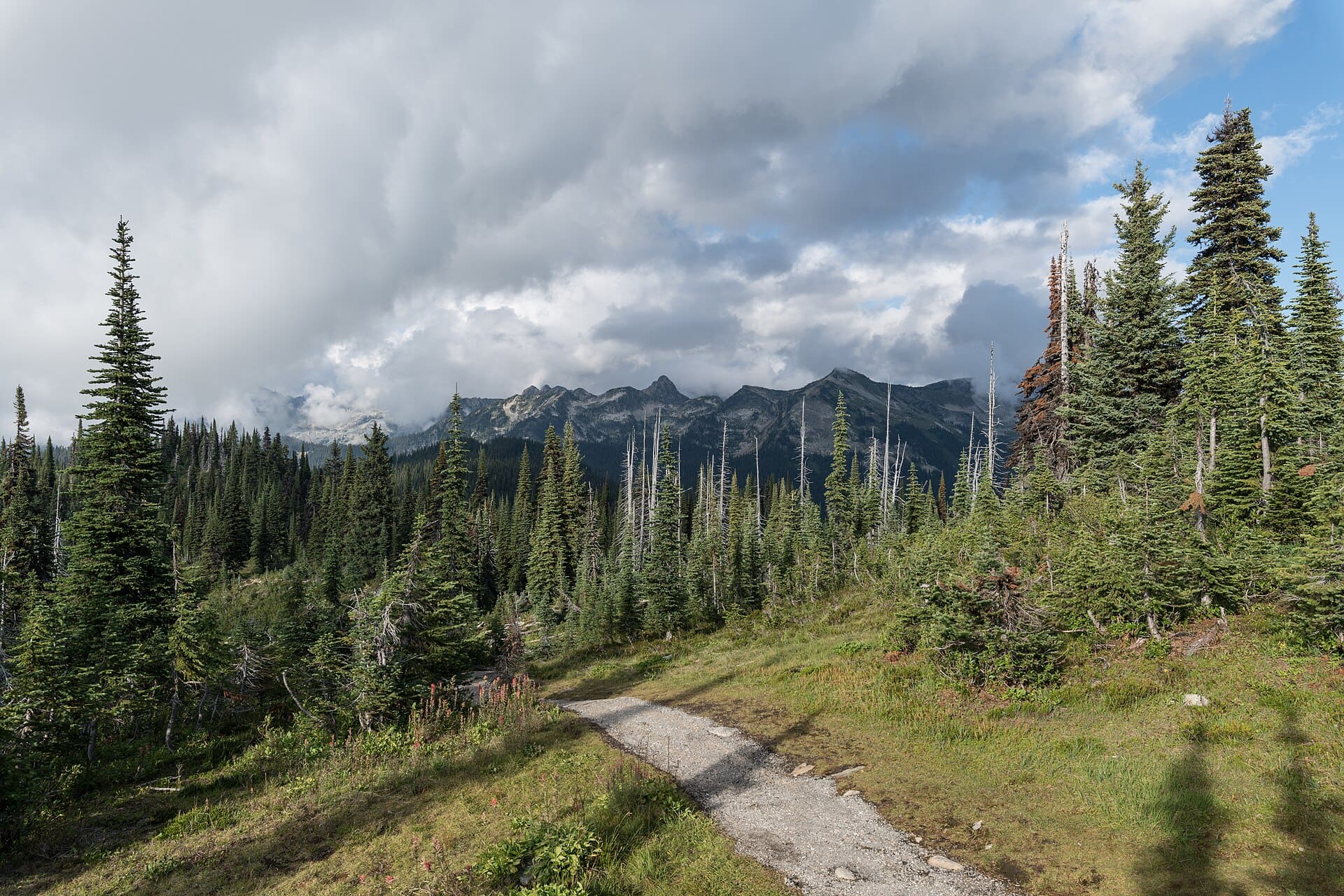 Revelstoke, Canada: 12 lucruri de văzut și de făcut (Heritage City și Meadows in the Sky) 4 12 lucruri de văzut și de făcut în Revelstoke