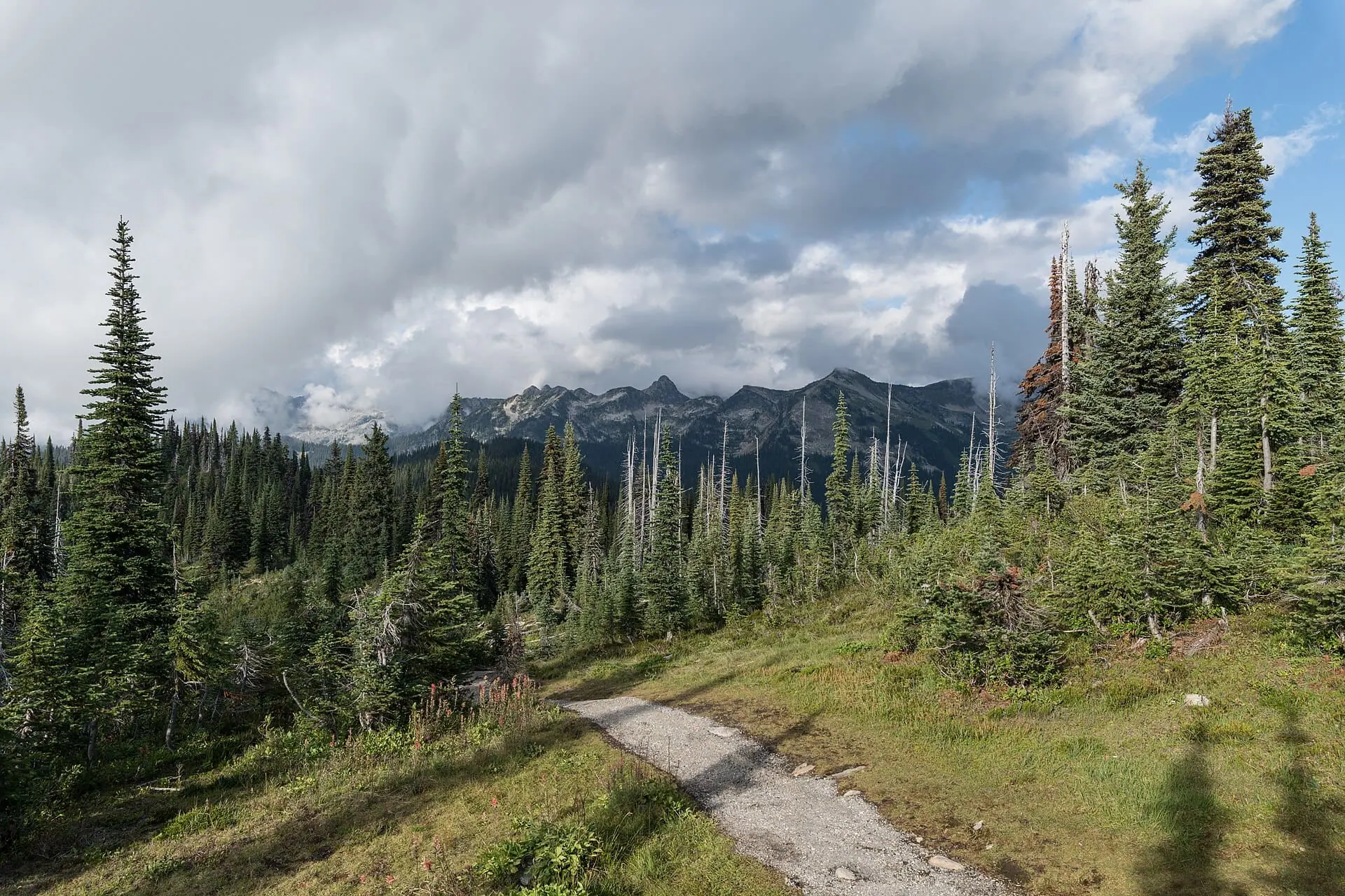 Revelstoke, Kanada: 12 tipů, co vidět a dělat (Heritage City i Meadows in the Sky) 4 12 tipů, co vidět a dělat v Revelstoke