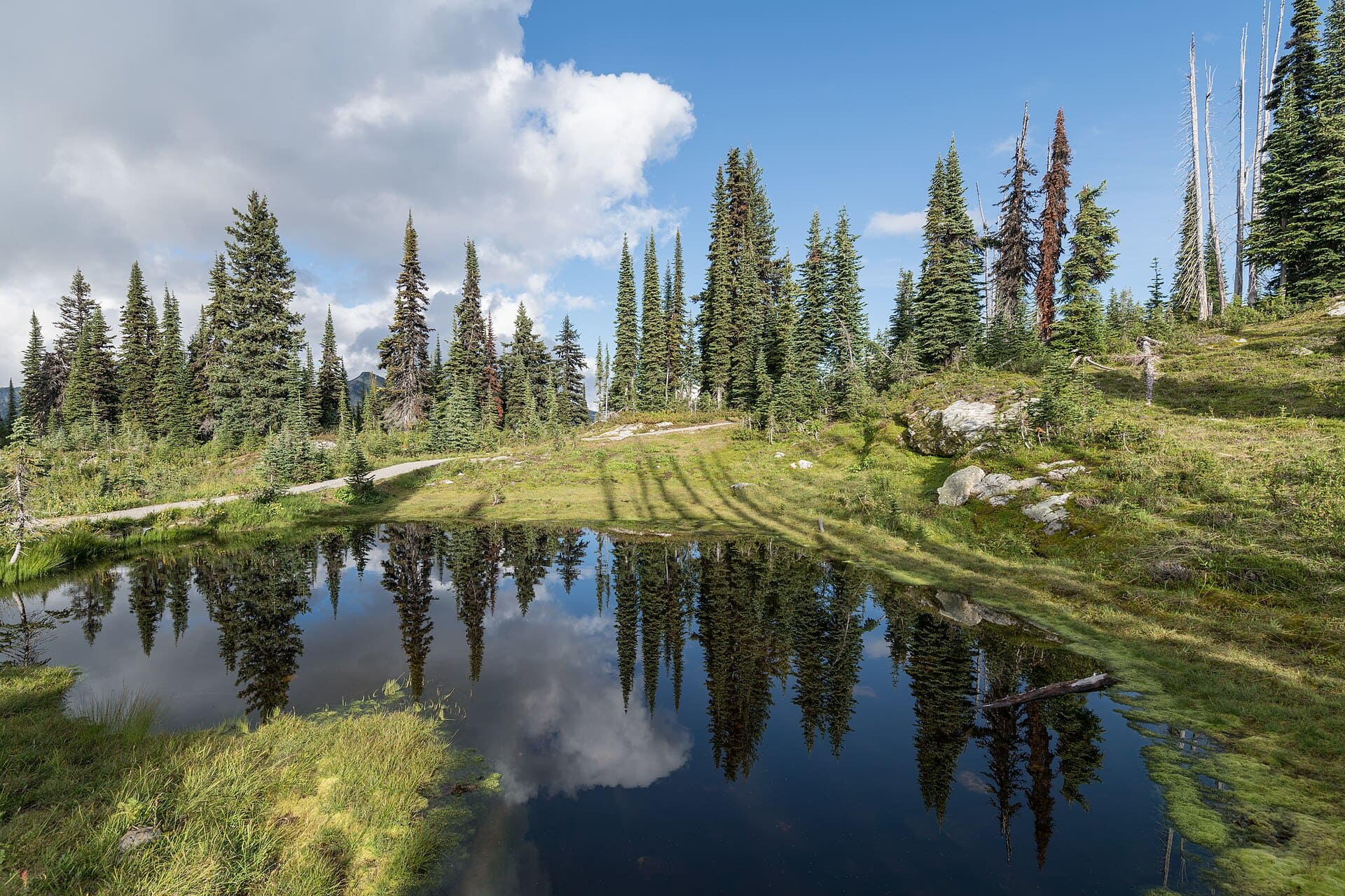 Revelstoke, Canada: 12 lucruri de văzut și de făcut (Heritage City și Meadows in the Sky) 3 Unde să te cazezi în Revelstoke
