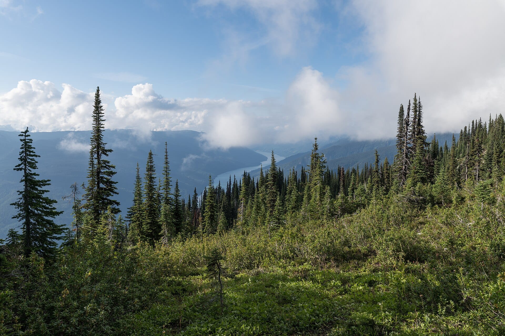 Revelstoke, Canada: 12 lucruri de văzut și de făcut (Heritage City și Meadows in the Sky) 2 Când să mergi în Revelstoke