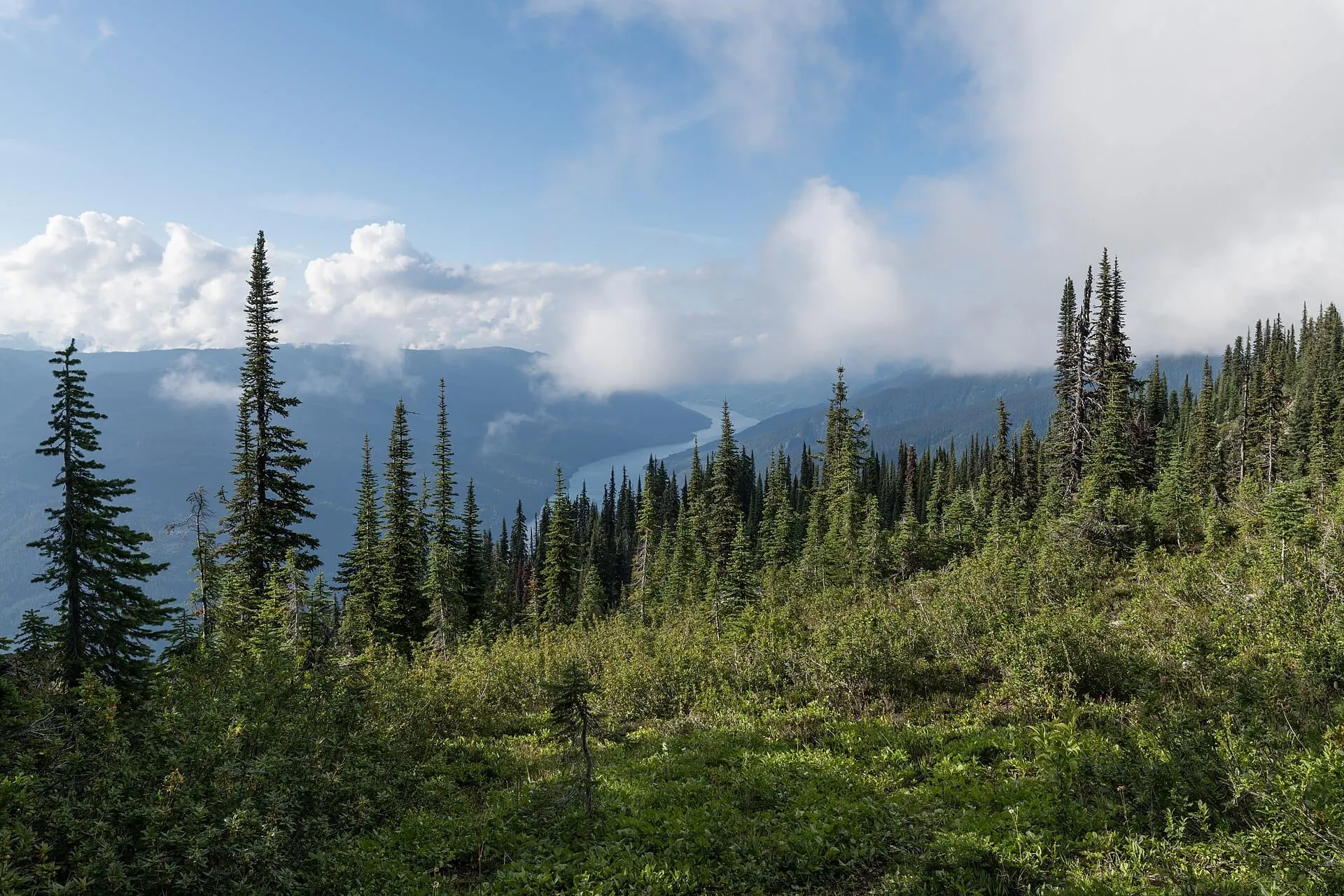 Revelstoke, Kanada: 12 tipů, co vidět a dělat (Heritage City i Meadows in the Sky) 2 Kdy vyrazit do Revelstoke
