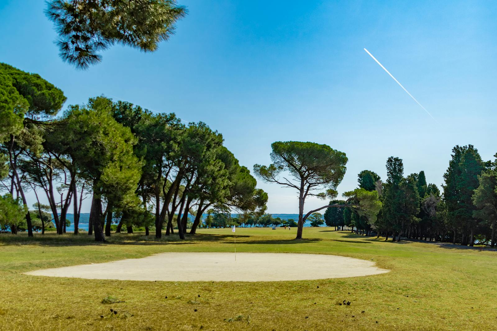 Rovinj, Croatia: 12 Best Things to See and Do in 2026 17 Brijuni National Park and the hilltop town of Bale