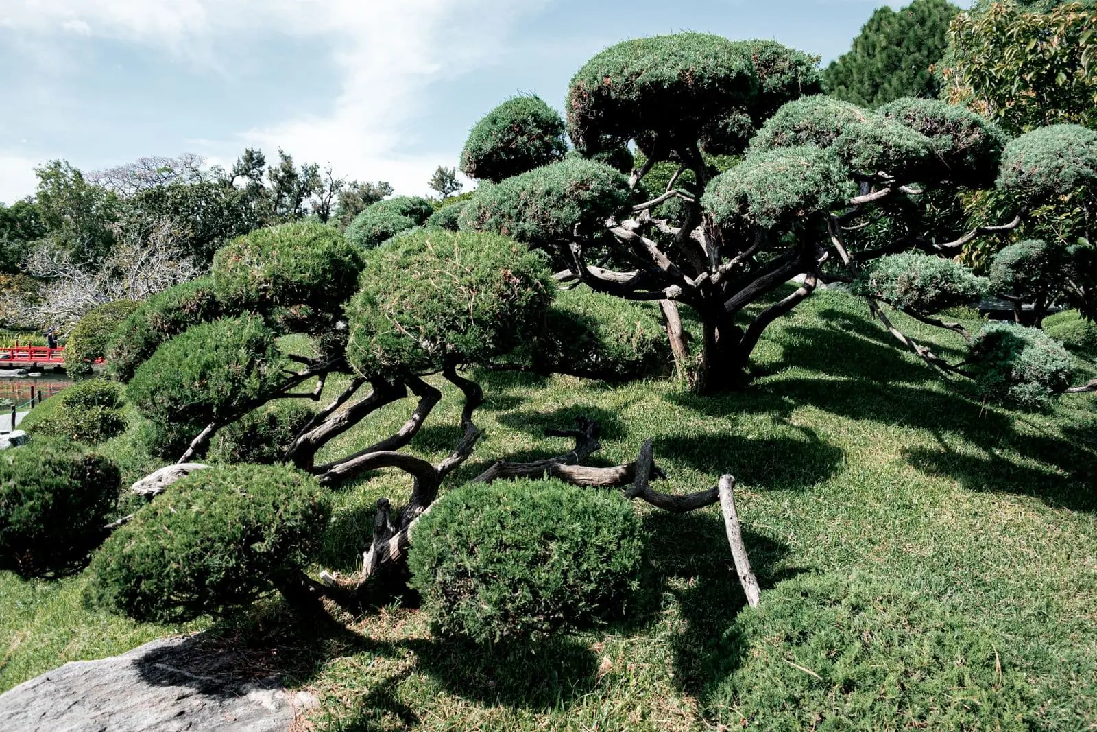 I giardini modellati Les Jardins d'Étretat