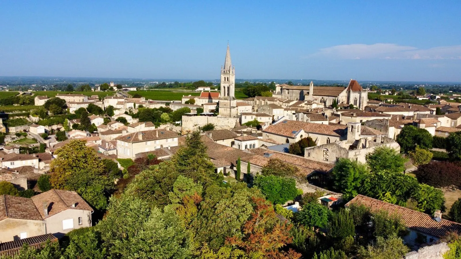 Saint-Émilion in Frankreich: 11 Tipps für das Weinstädtchen bei Bordeaux 2026 16 Weinberge bei Saint-Émilion im goldenen Licht