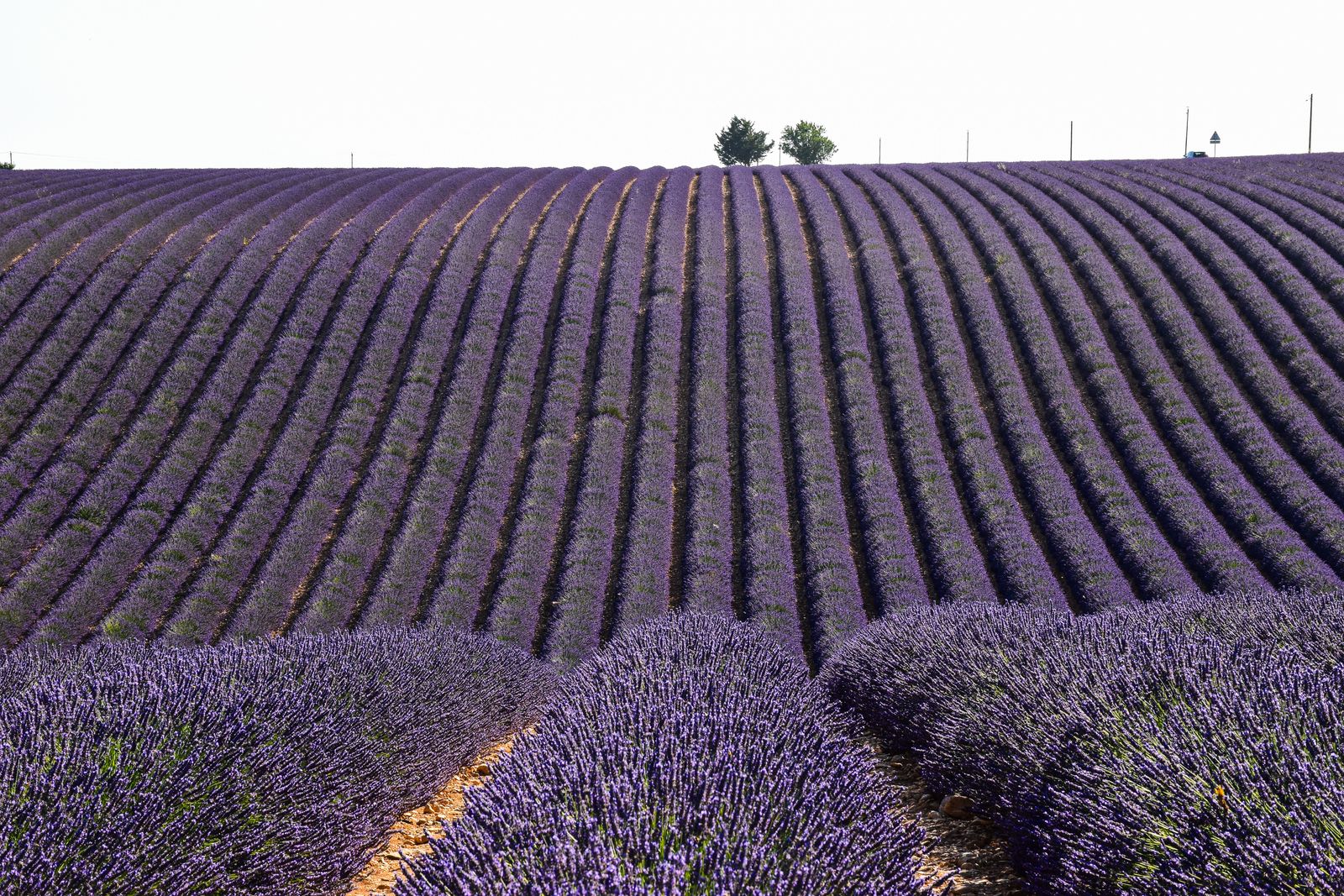 Cele mai frumoase sate din Franța: 15 sugestii de Les Plus Beaux Villages în 2026 2 Sat provensal înconjurat de lavandă înflorită