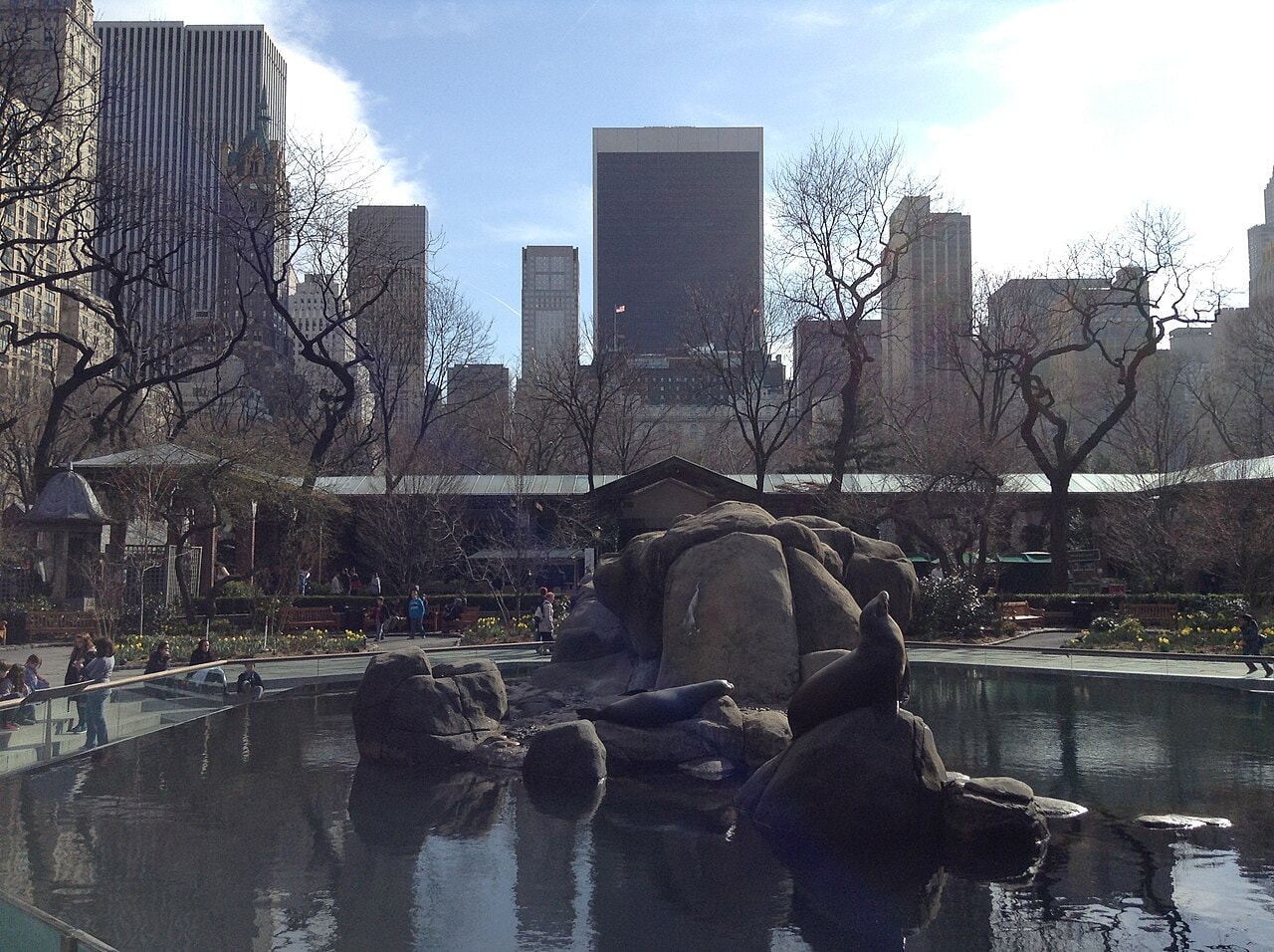 New York cu copiii: 20 de atracții și experiențe 2026 3 Lei de mare la Central Park Zoo