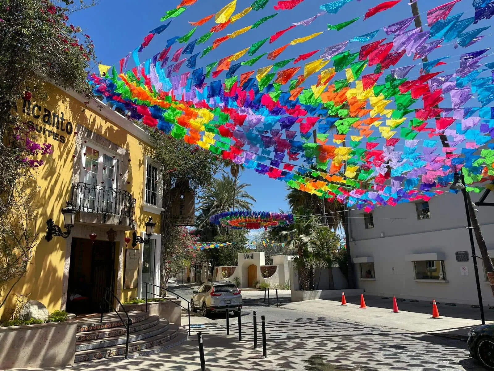 Baja California Road Trip: 10-Day Itinerary + Whales & Beaches 3 Art district of San José del Cabo