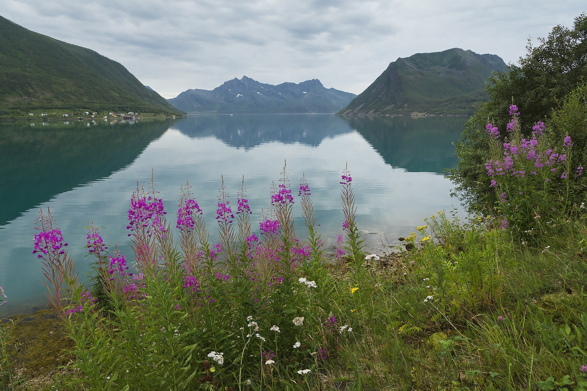 Senja Norvegia: 7 lucruri de văzut și făcut lângă Lofoten 2026 3 Unde să te cazezi pe Senja