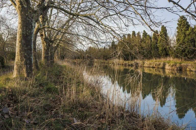 França: guia, dicas e o que ver em 2026 19 Canal du Midi: 11 dicas para o canal entre plátanos em 2026