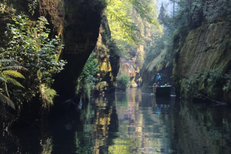 Soutěska na řece Kamenici v Českém Švýcarsku