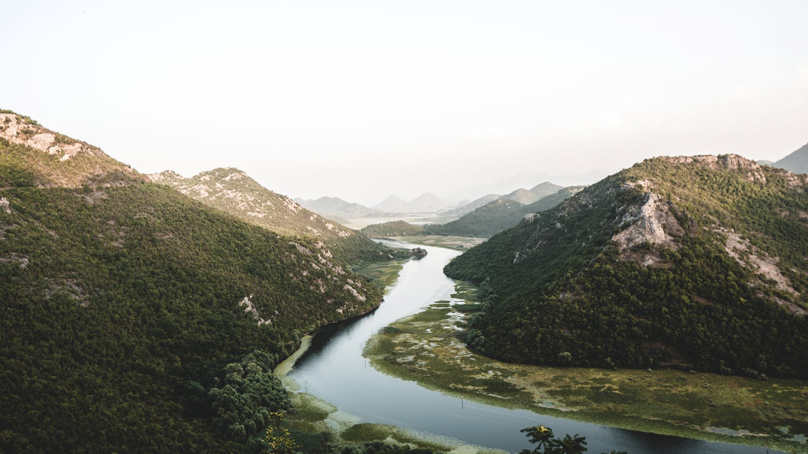 Meer van Skadar: 10 tips voor het nationale park, pelikanen en wijngaarden 2026 4 10 tips voor wat je kunt zien en doen bij het Meer van Skadar