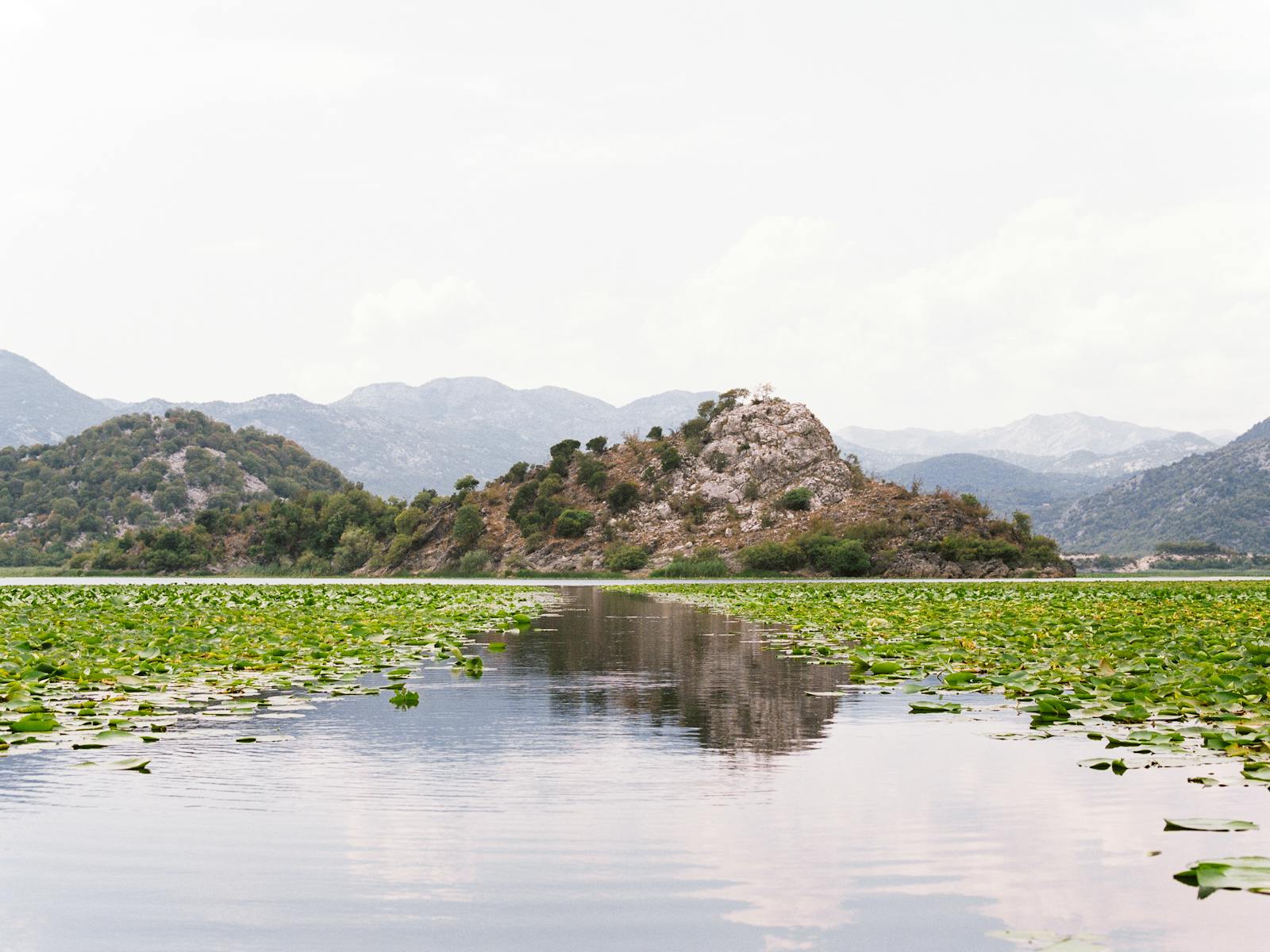 Meer van Skadar: 10 tips voor het nationale park, pelikanen en wijngaarden 2026 8 Op zoek naar kroeskoppelikanen
