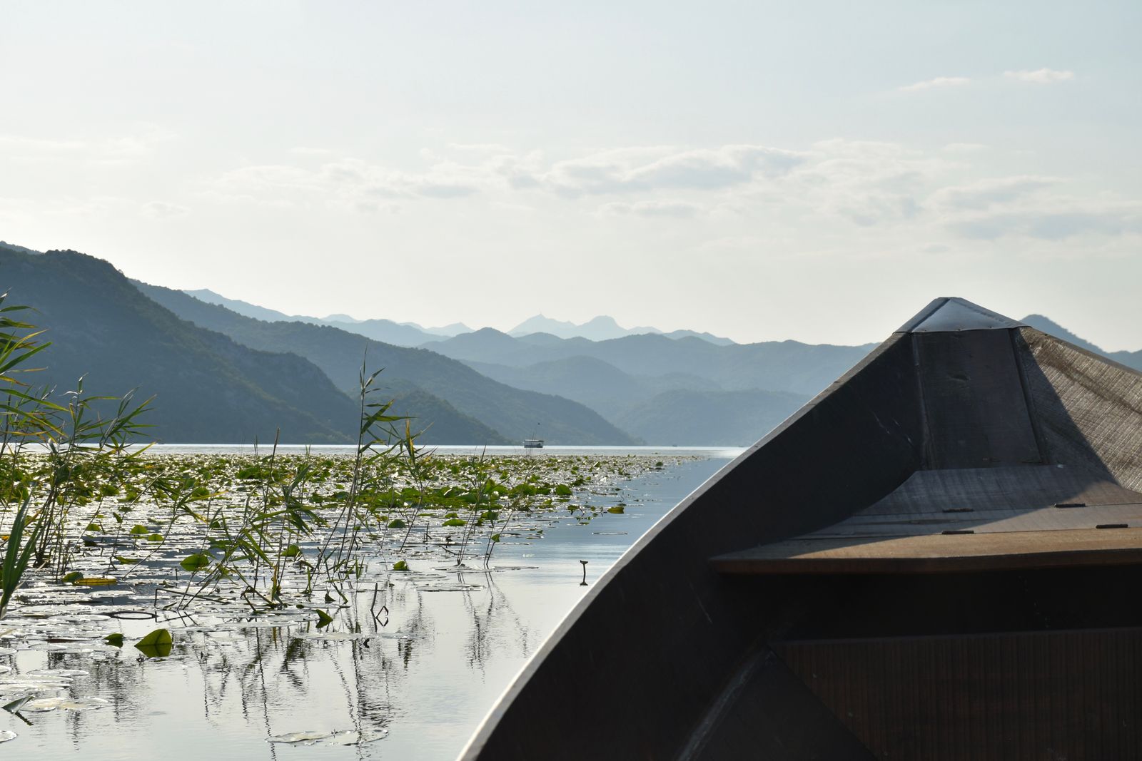 Meer van Skadar: 10 tips voor het nationale park, pelikanen en wijngaarden 2026 11 Kloosters op eilanden