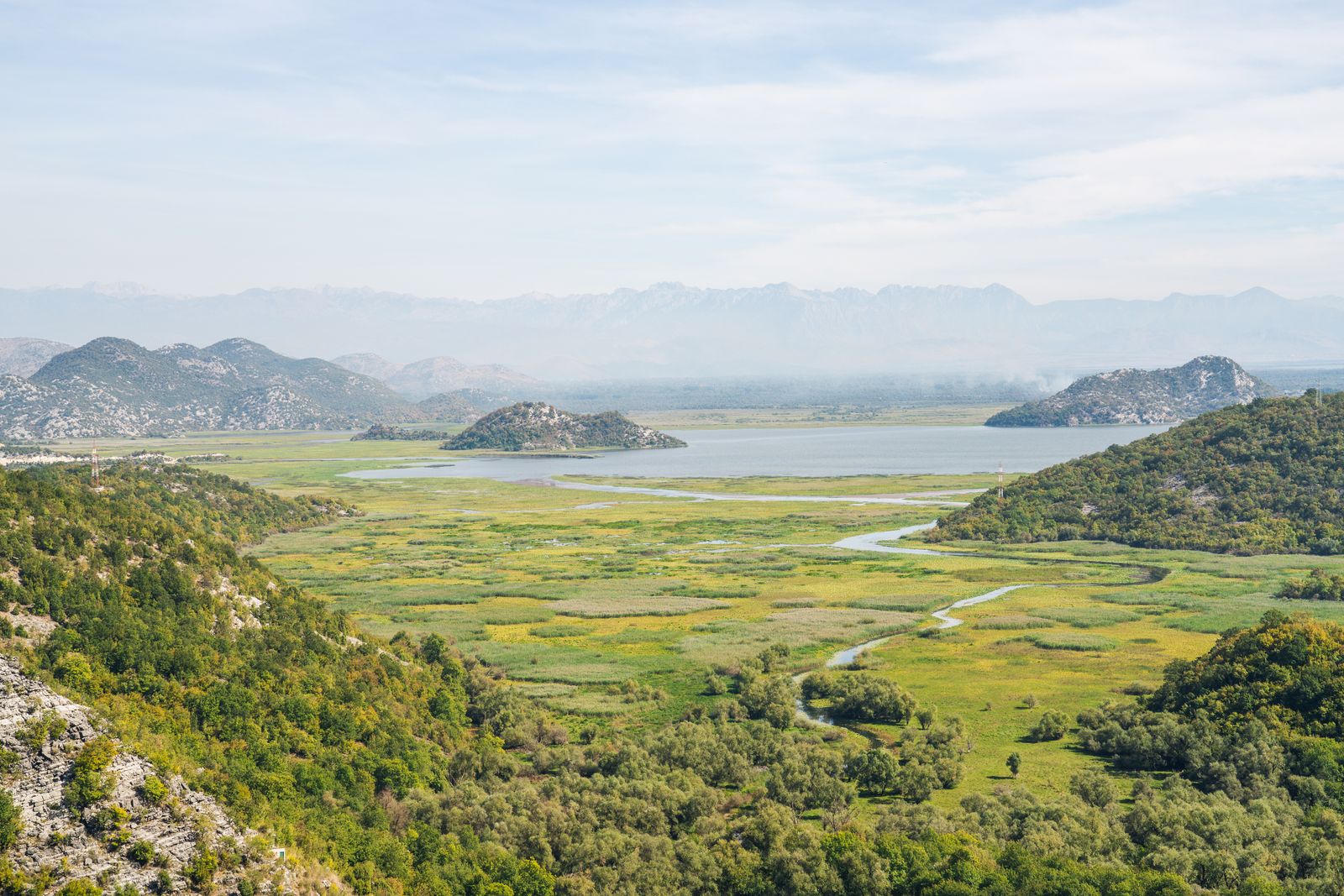 Meer van Skadar: 10 tips voor het nationale park, pelikanen en wijngaarden 2026 9 Varen door de waterlelievelden