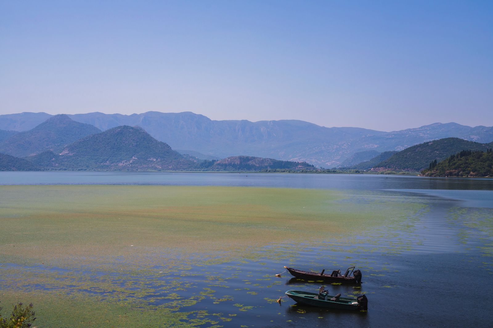 Meer van Skadar: 10 tips voor het nationale park, pelikanen en wijngaarden 2026 13 Het wijngebied Crmnica en het dorp Godinje
