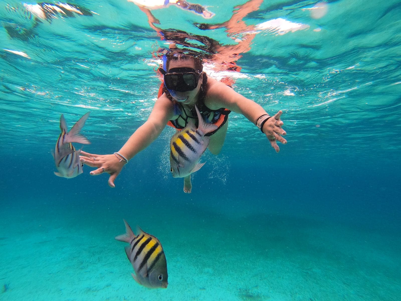 Cozumel, Mexic: 12 lucruri de făcut (scufundări și plaje) 6 Snorkeling lângă Cozumel