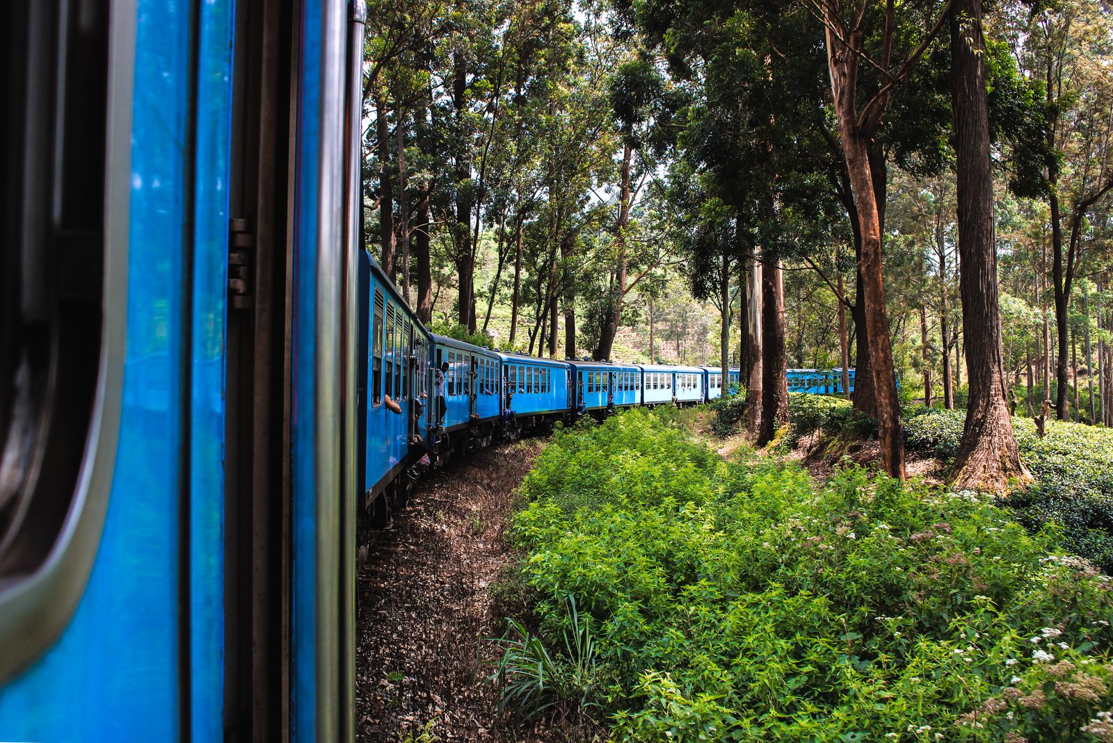Sri Lanka Travel Guide: 21 Best Things to See in 2026 1 Train passing through the tea plantations of the Sri Lankan highlands