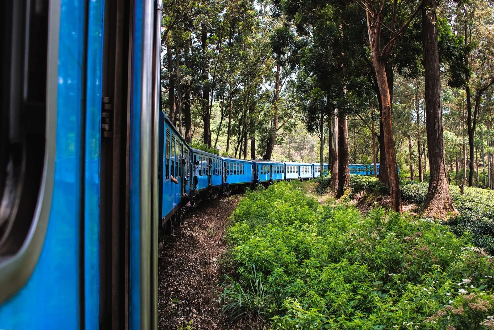 Sri Lanka Urlaub: 21 Tipps, was du sehen musst und wann du 2026 reisen solltest 1 Zug fährt durch die Teeplantagen des srilankischen Hochlands